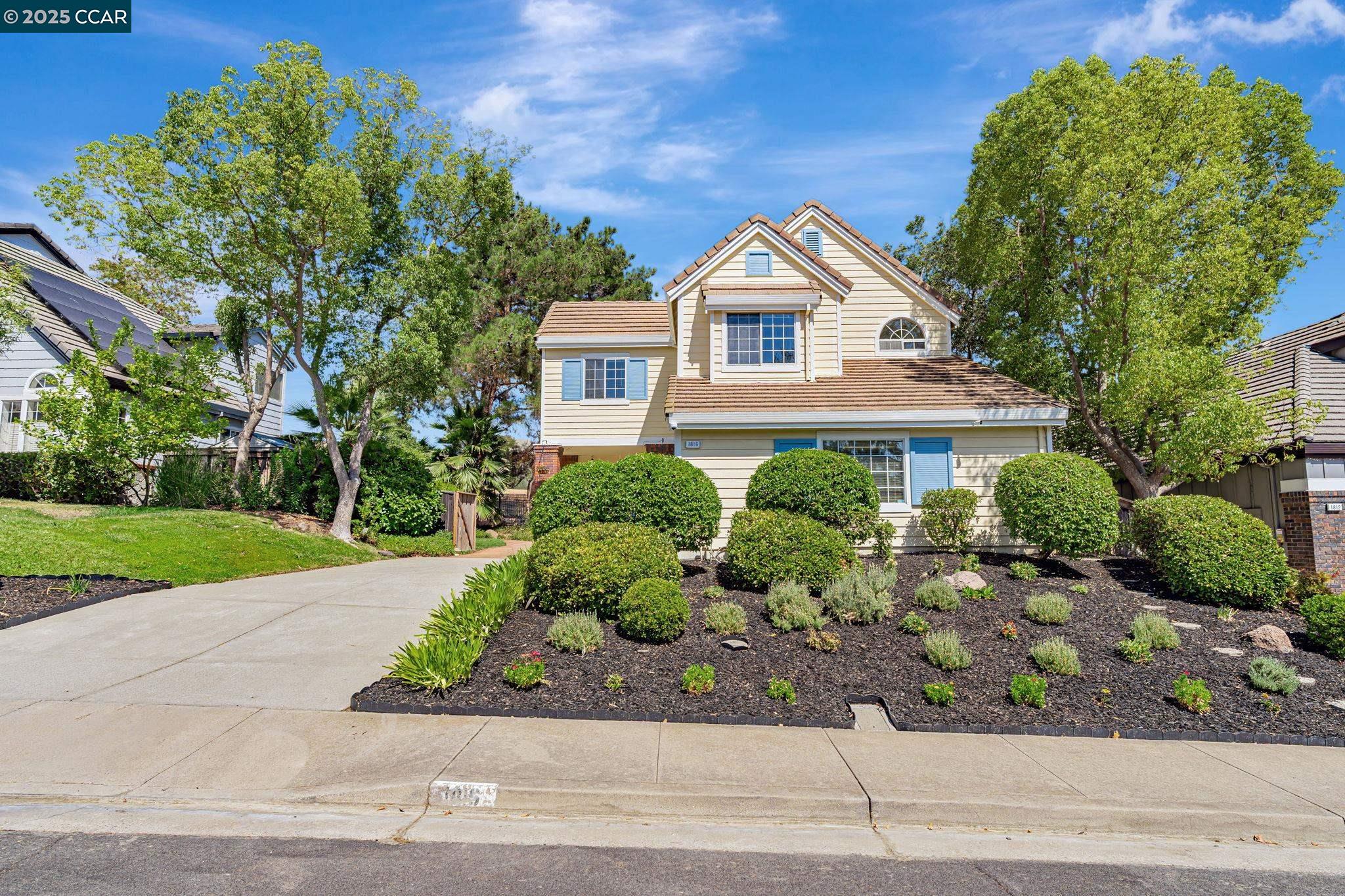 Front Image Thumbnail for CC41110574