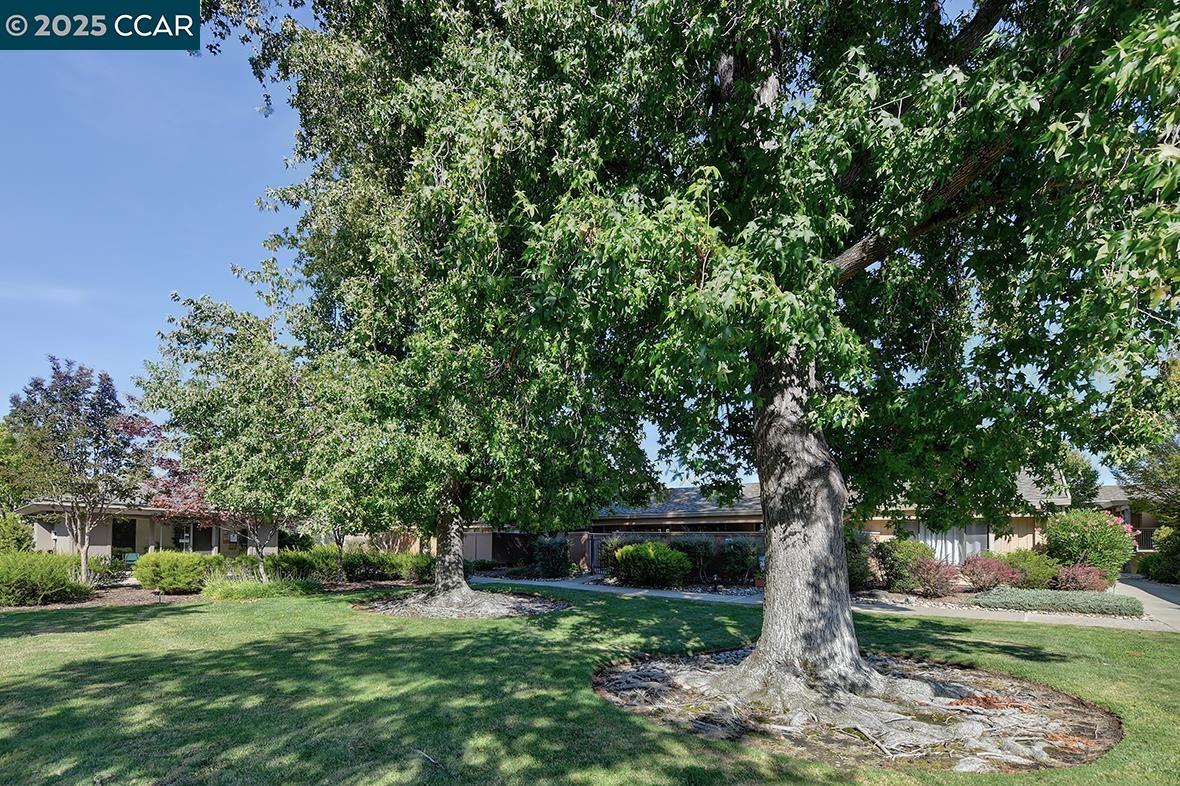 Photo #36: 41110681 Listing: Photo #36
