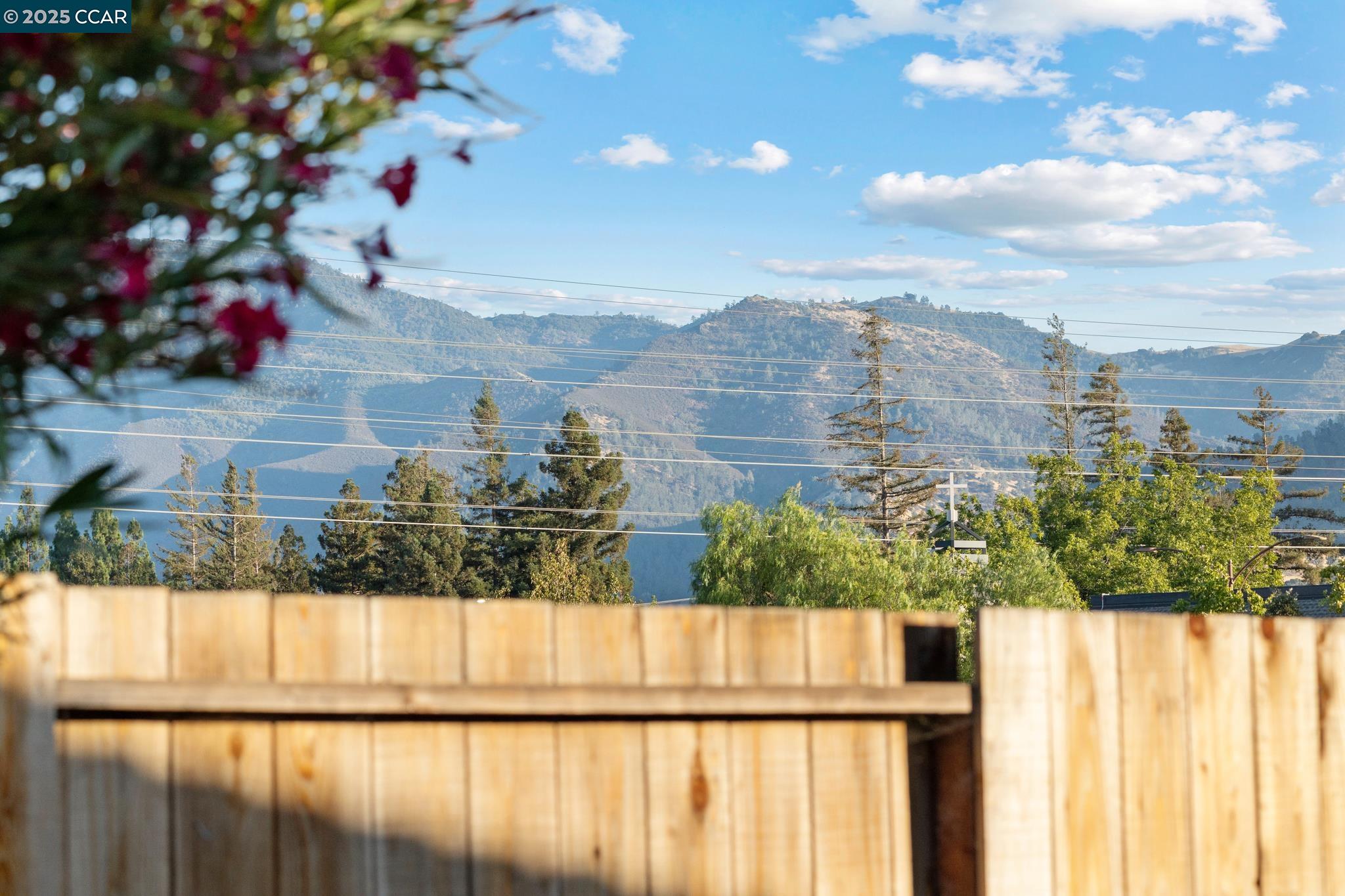 Detail Gallery Image 45 of 60 For 1840 Leo Ln, Concord,  CA 94521 - 4 Beds | 2 Baths