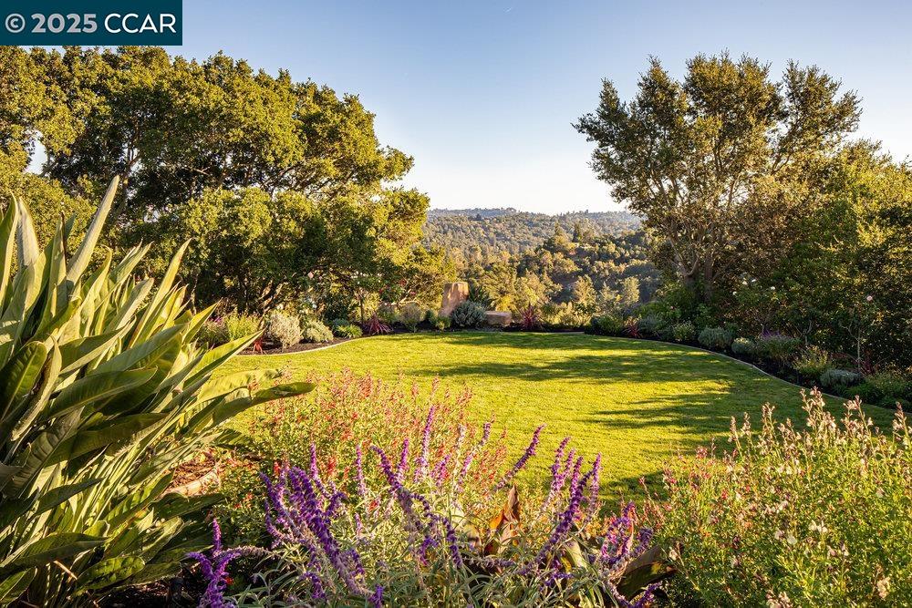 Detail Gallery Image 52 of 60 For 1177 Estates Dr, Lafayette,  CA 94549 - 6 Beds | 7/2 Baths