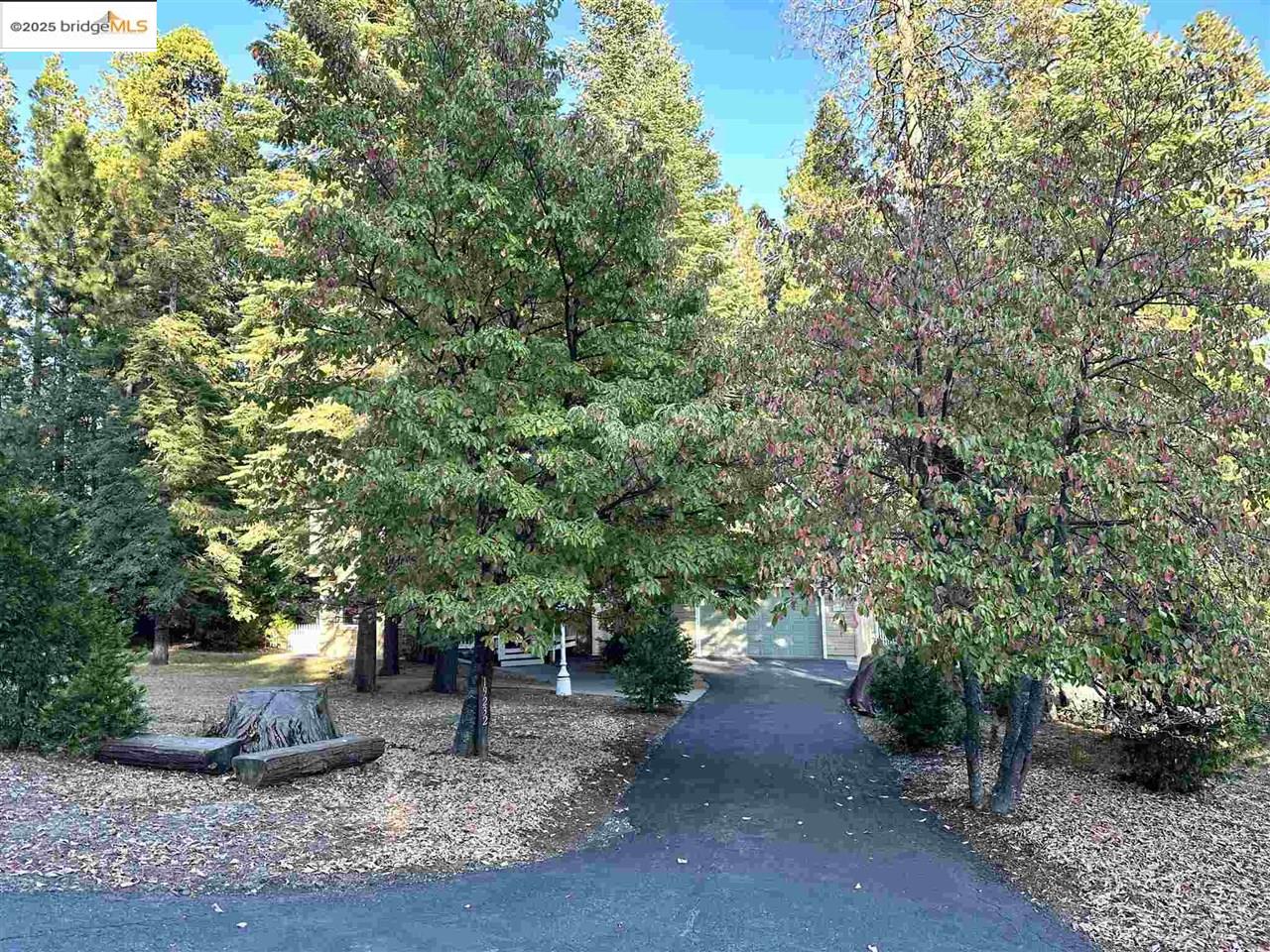 Detail Gallery Image 52 of 53 For 19232 Highlander, Twain Harte,  CA 95383 - 3 Beds | 2/1 Baths