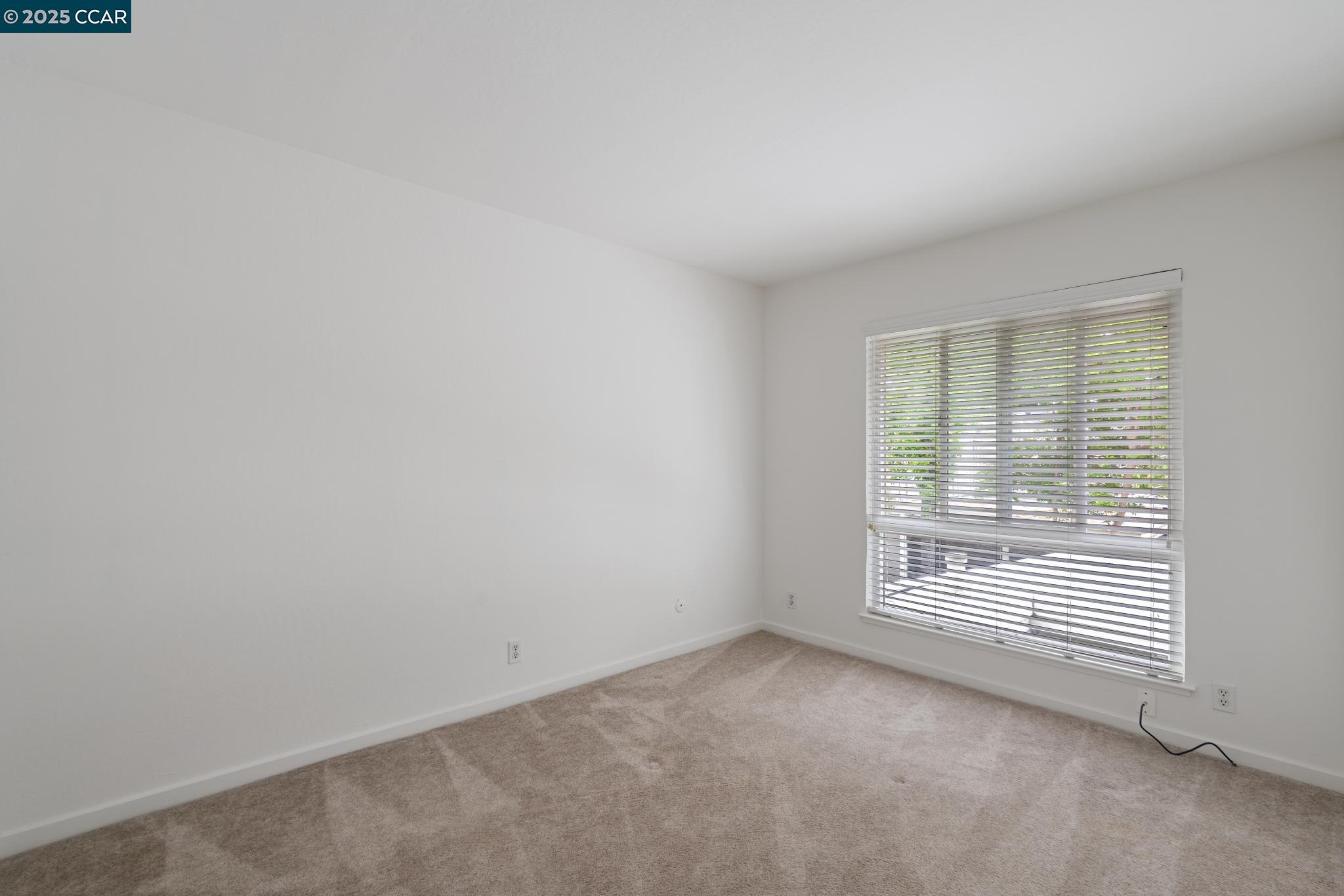 Photo #23: 41110847 Listing: Photo #23