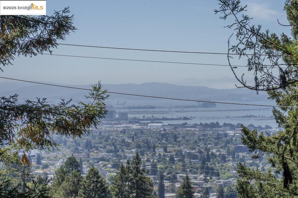 Detail Gallery Image 21 of 53 For 1125 Keith Avenue, Berkeley,  CA 94708 - 3 Beds | 2/1 Baths