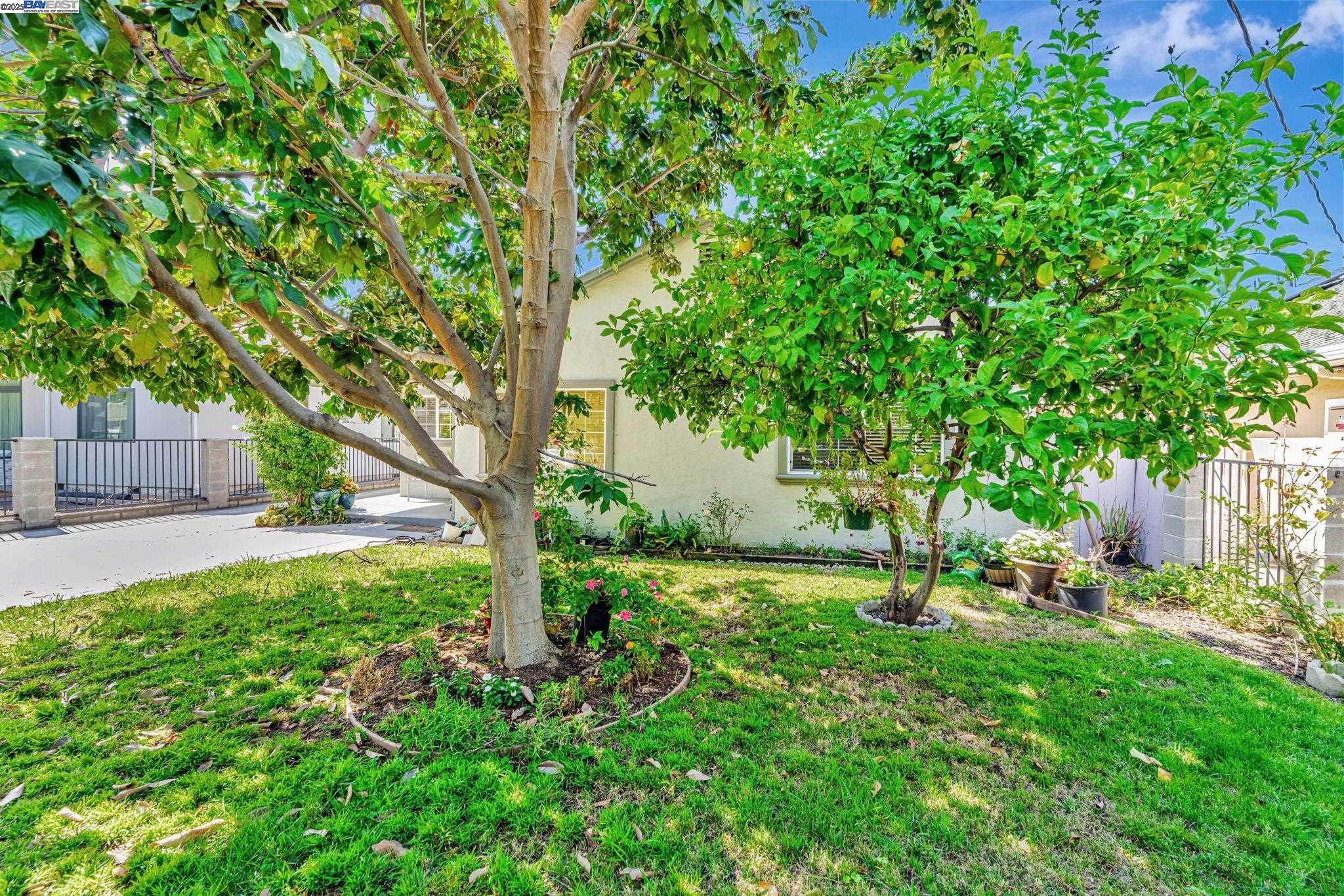 Front Image Thumbnail for BE41110897