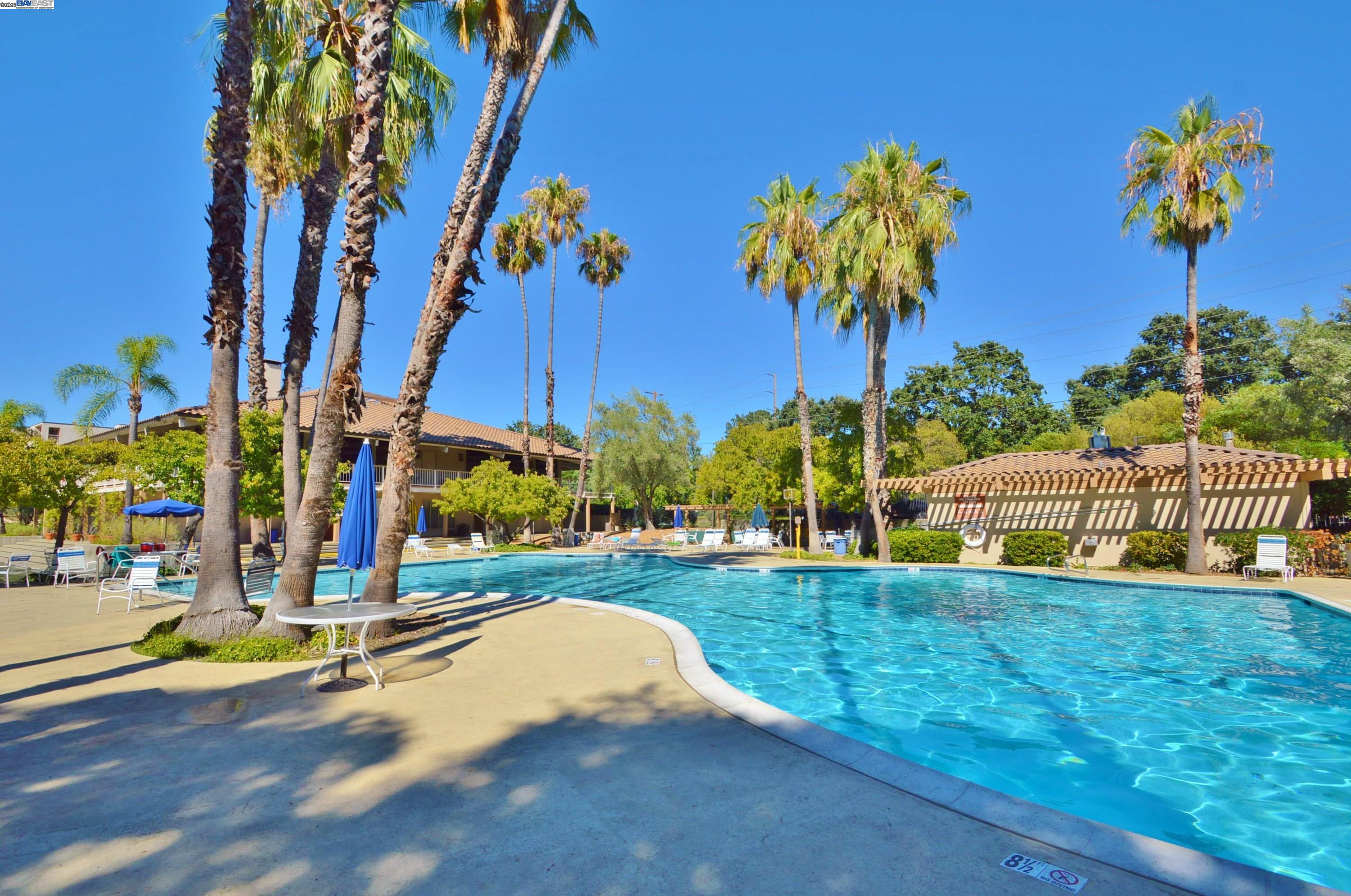 Detail Gallery Image 31 of 37 For 320 N Civic Dr #307,  Walnut Creek,  CA 94596 - 1 Beds | 1 Baths