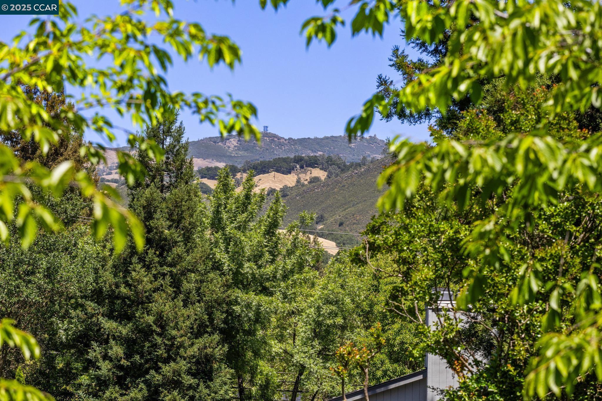 Detail Gallery Image 41 of 42 For 210 Still Creek Rd, Danville,  CA 94506 - 5 Beds | 4 Baths