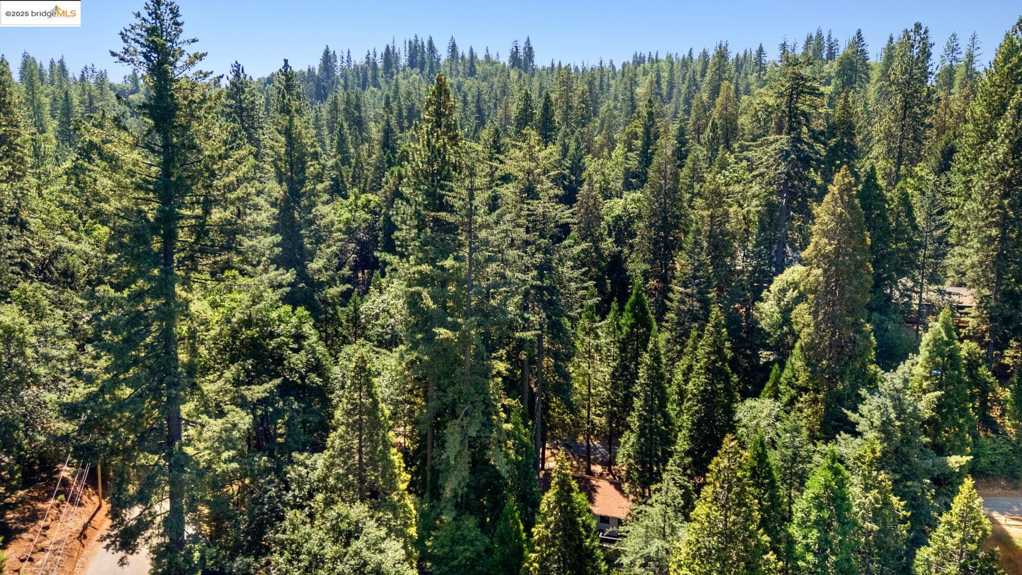 Detail Gallery Image 32 of 39 For 24238 Oxbow Lane N, Sonora,  CA 95370 - 3 Beds | 1/1 Baths