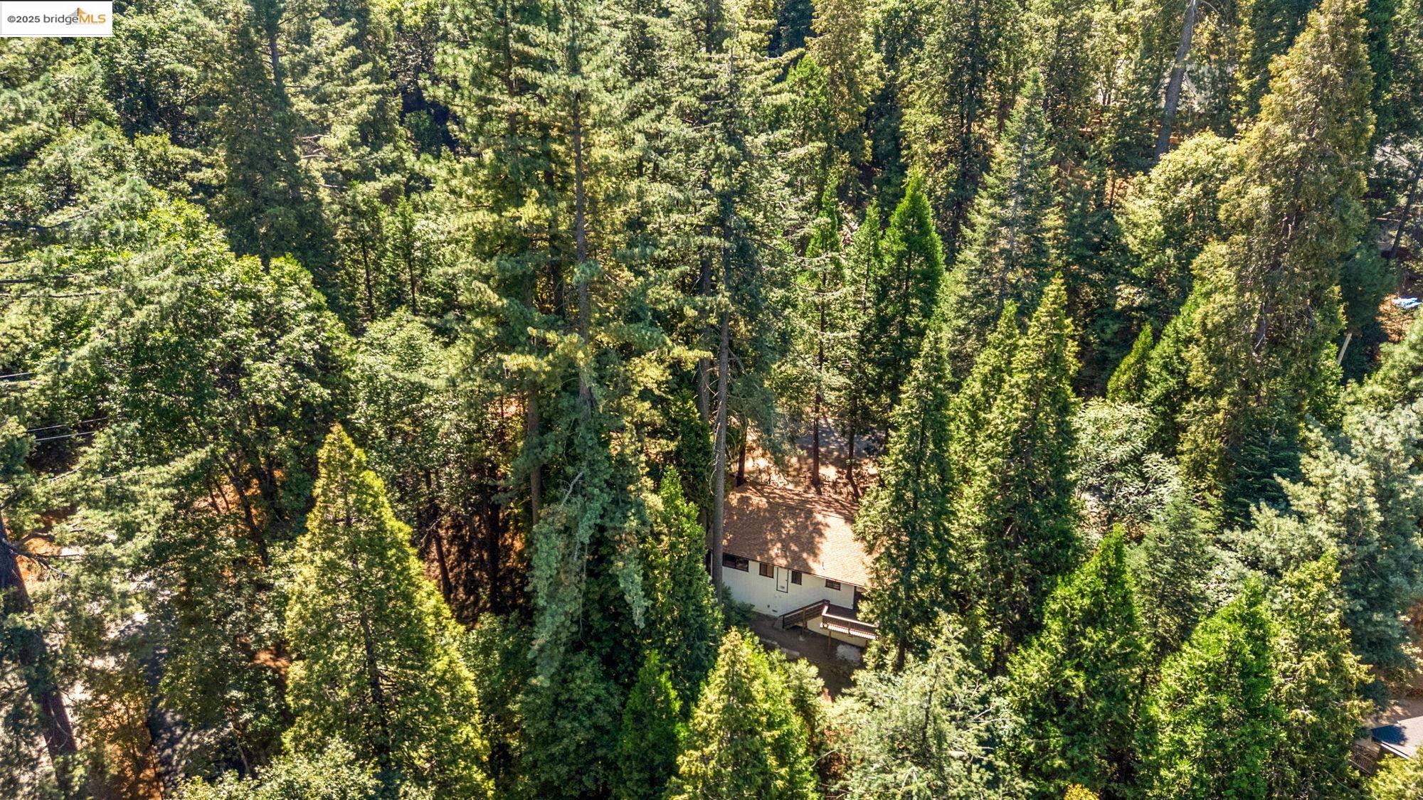 Detail Gallery Image 34 of 39 For 24238 Oxbow Lane N, Sonora,  CA 95370 - 3 Beds | 1/1 Baths