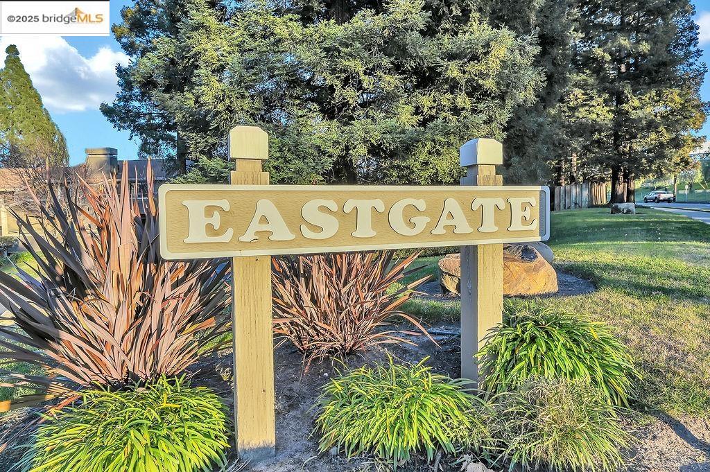 Photo #5: 41110978 Listing 