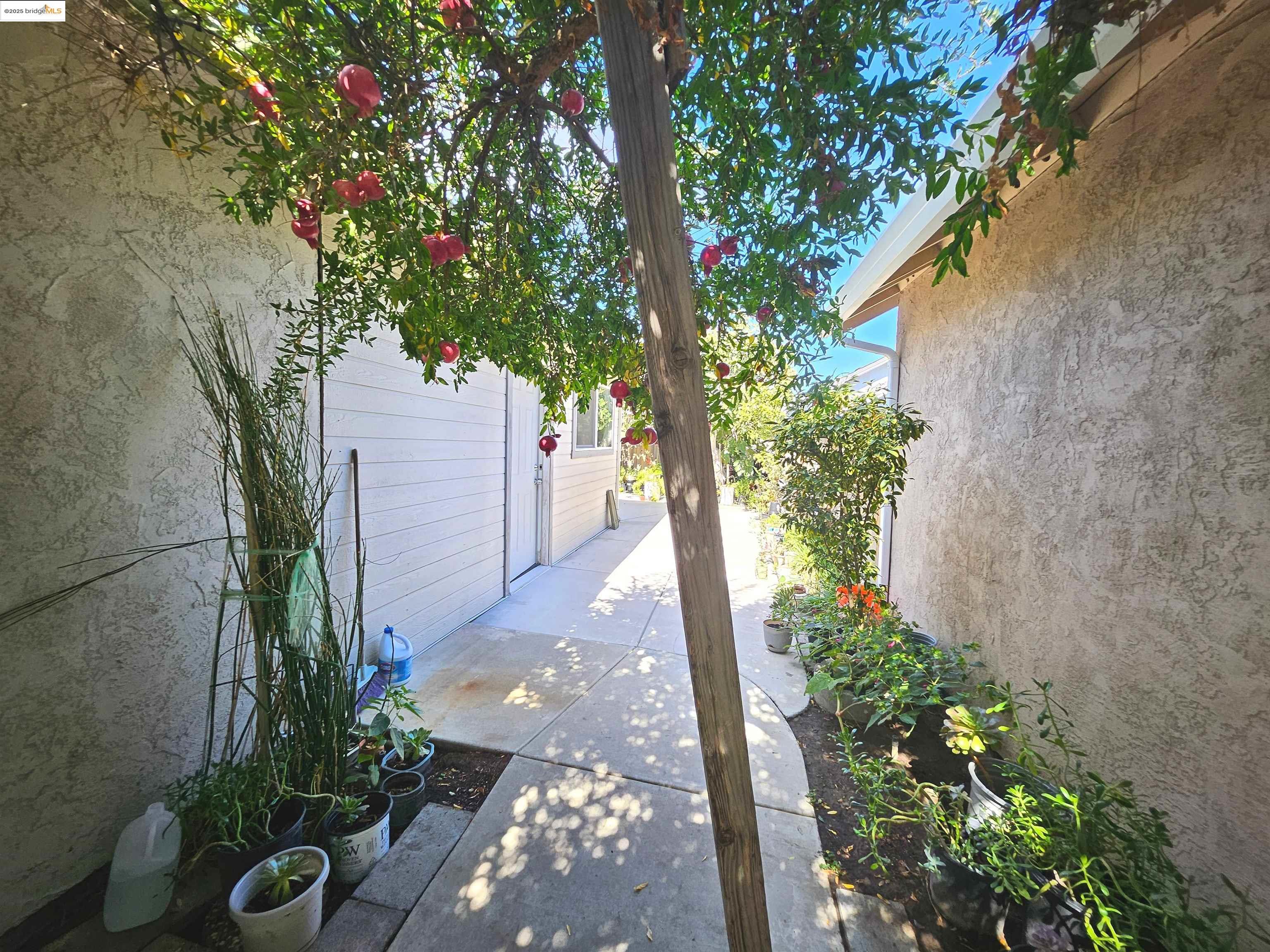 Detail Gallery Image 31 of 35 For 427 Grovewood Loop, Brentwood,  CA 94513 - 3 Beds | 2 Baths