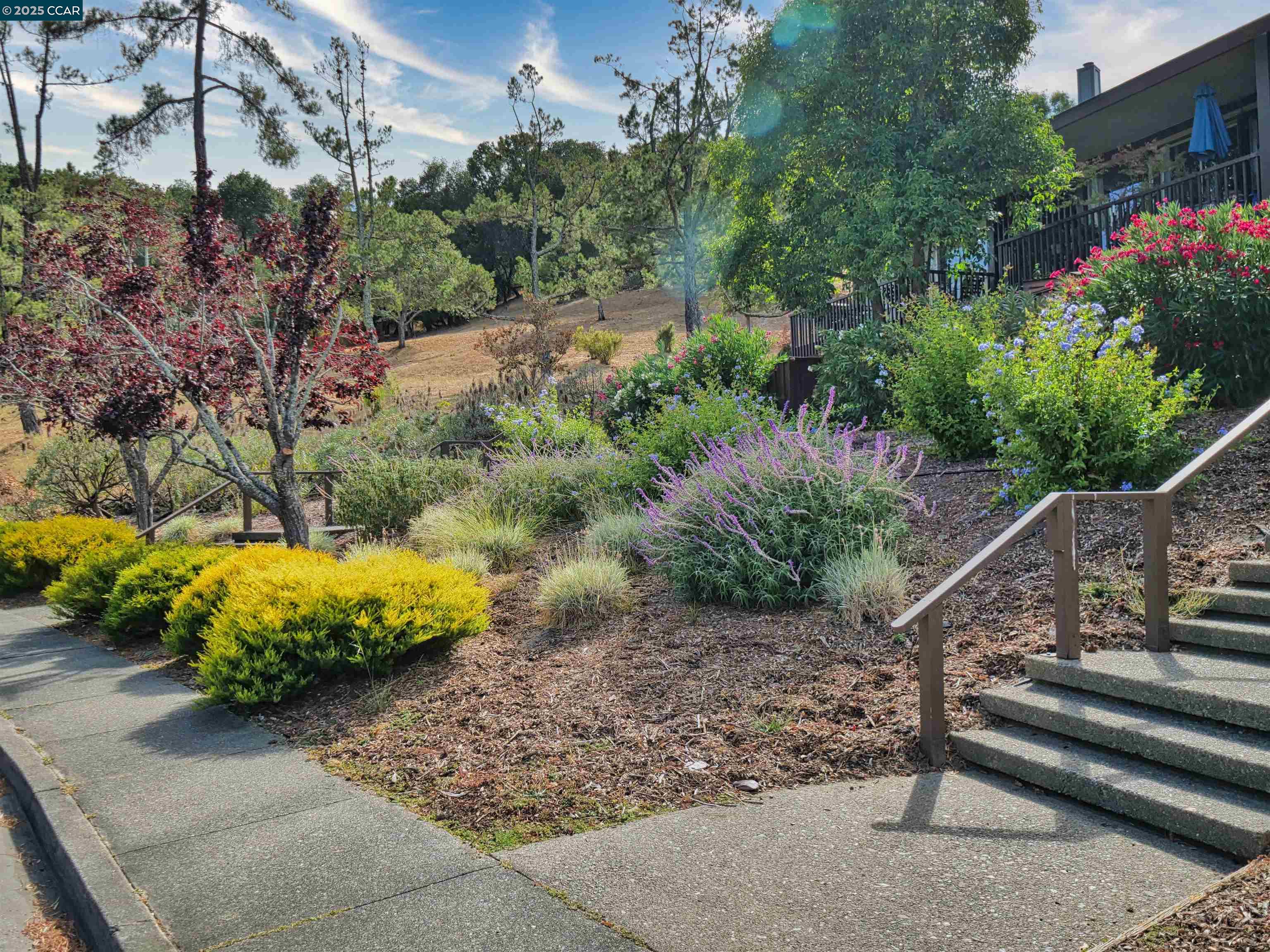 Detail Gallery Image 8 of 60 For 938 Lea Drive, San Rafael,  CA 94903 - 1 Beds | 1 Baths