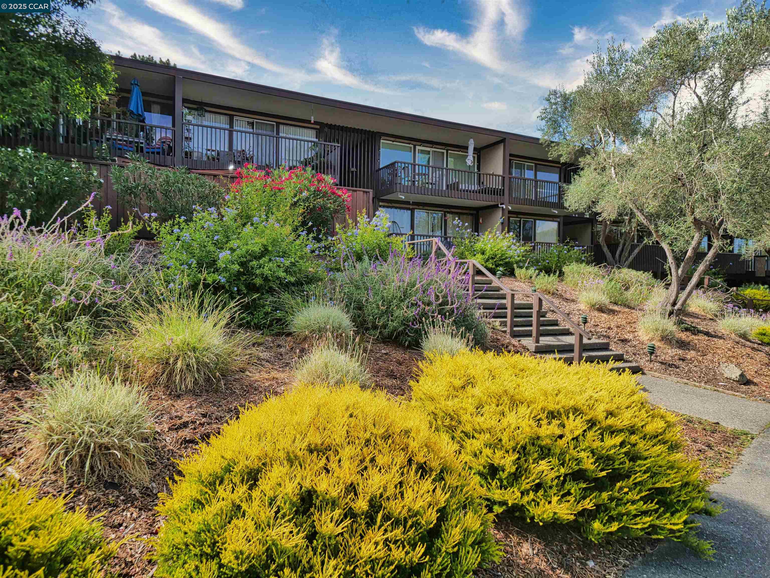Detail Gallery Image 9 of 60 For 938 Lea Drive, San Rafael,  CA 94903 - 1 Beds | 1 Baths