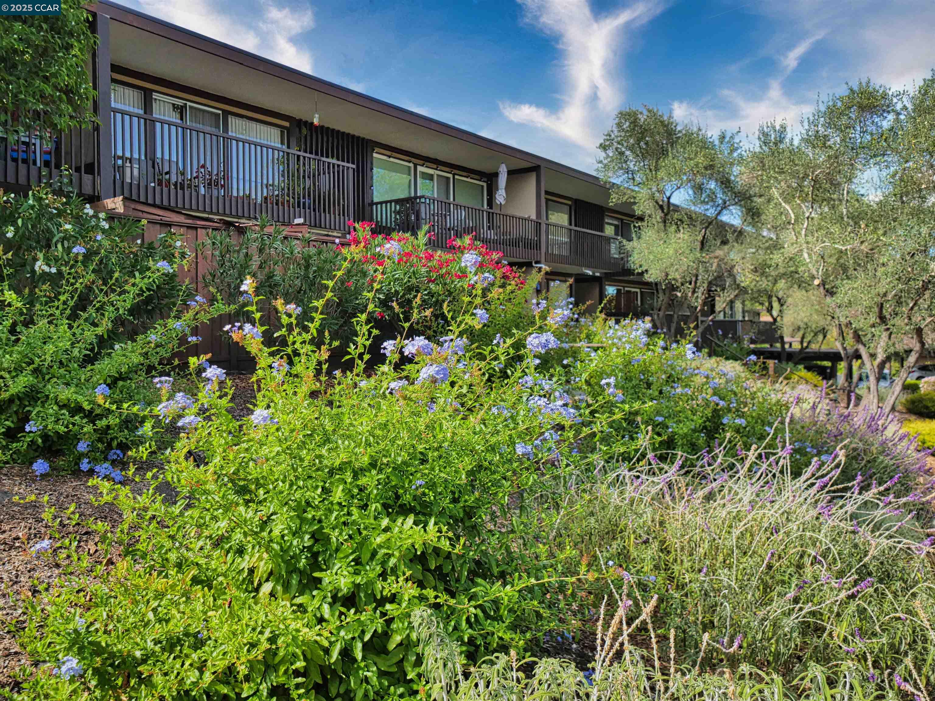 Detail Gallery Image 10 of 60 For 938 Lea Drive, San Rafael,  CA 94903 - 1 Beds | 1 Baths