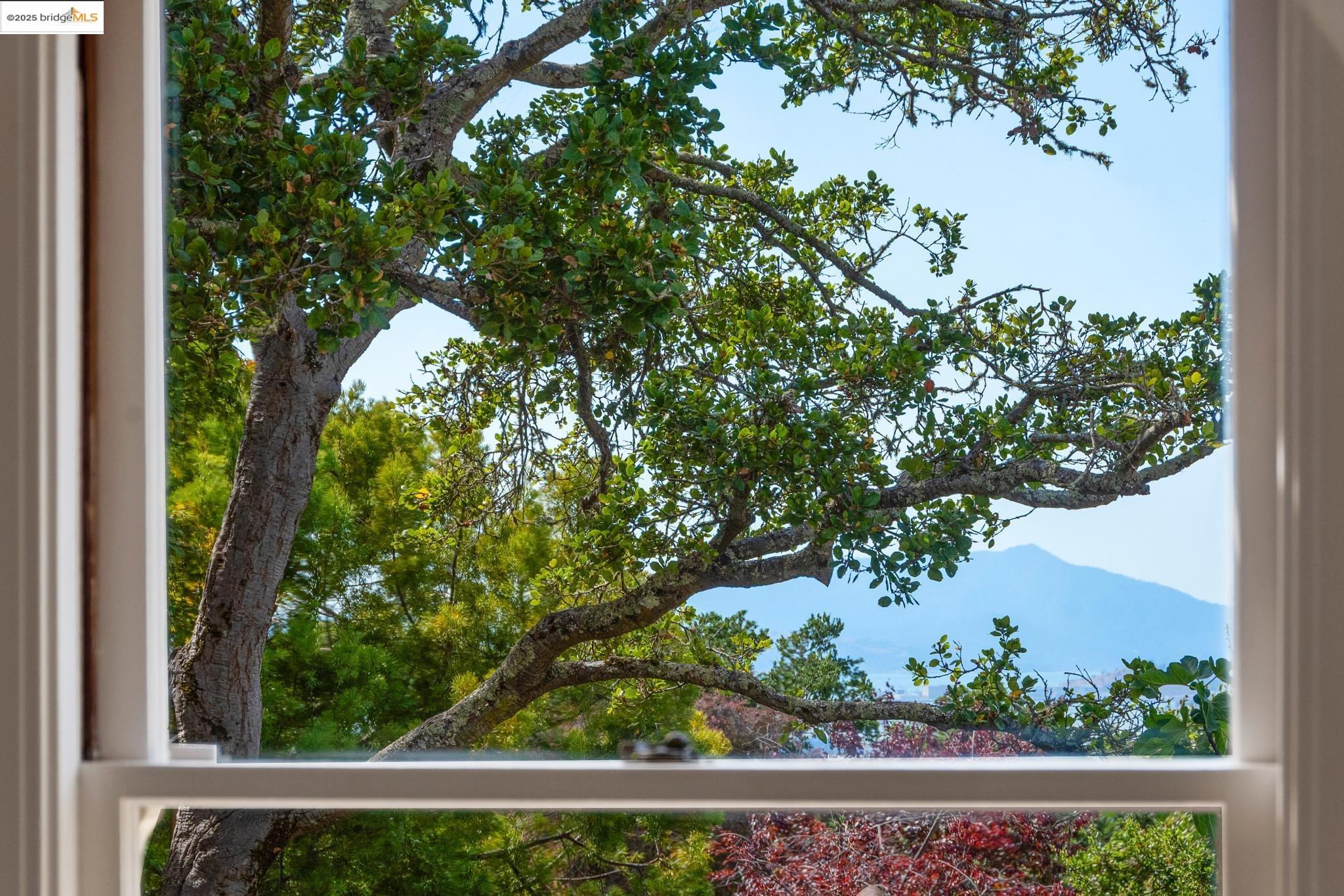 Detail Gallery Image 35 of 60 For 566 the Alameda, Berkeley,  CA 94707 - 4 Beds | 2 Baths