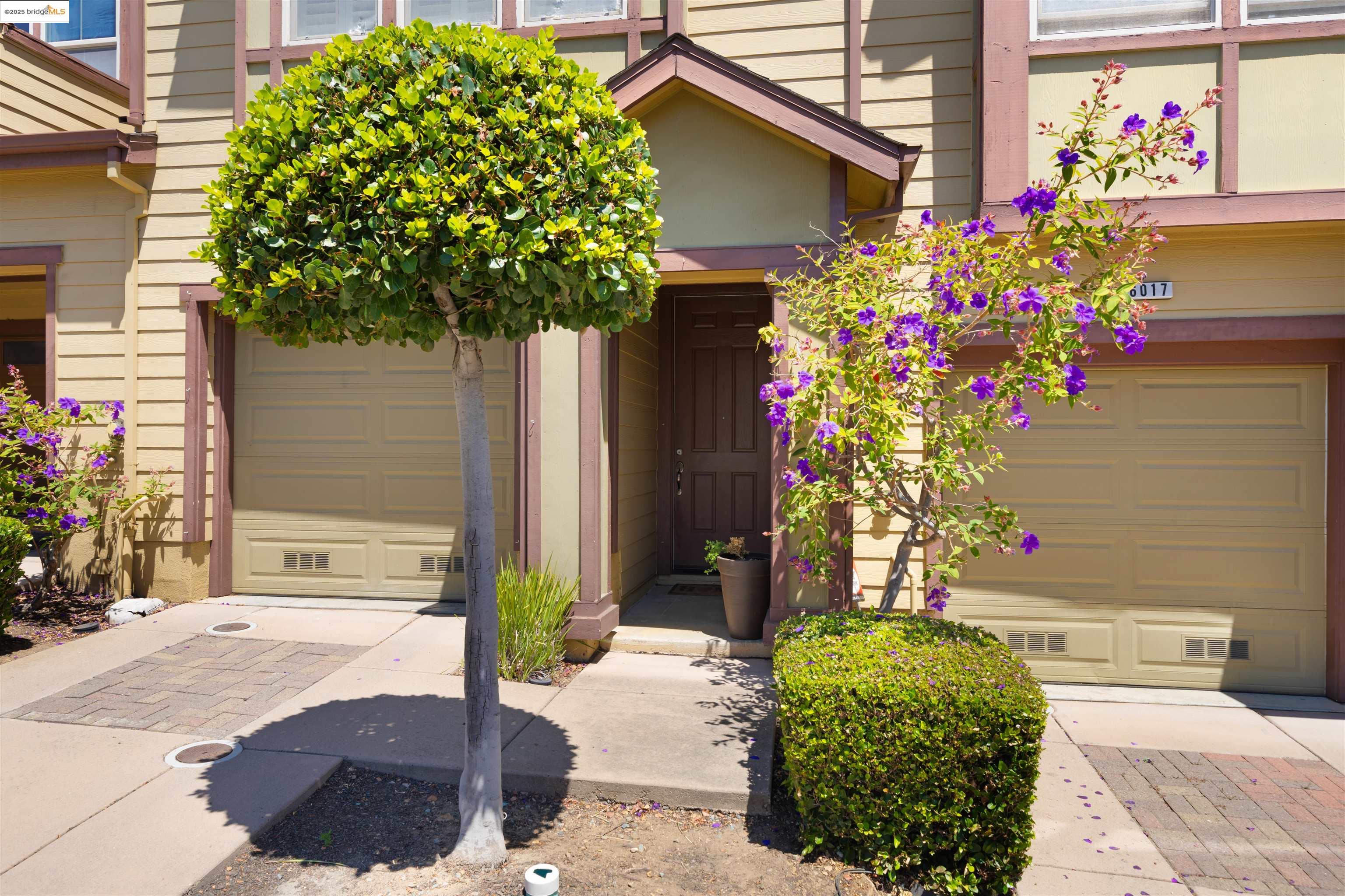 Photo #4: 41111101 Listing 