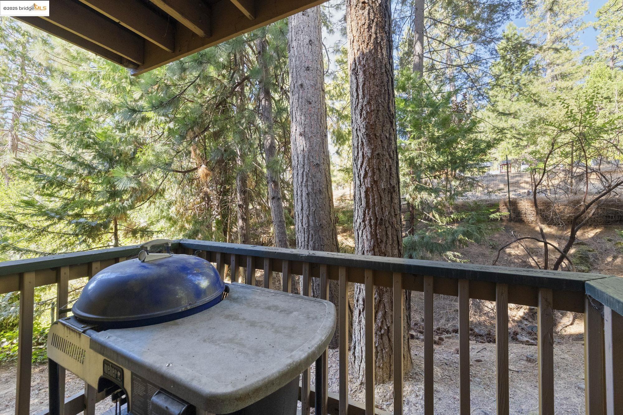 Detail Gallery Image 26 of 26 For 20630 Chief Fuller Road, Mi Wuk Village,  CA 95346 - 3 Beds | 2 Baths