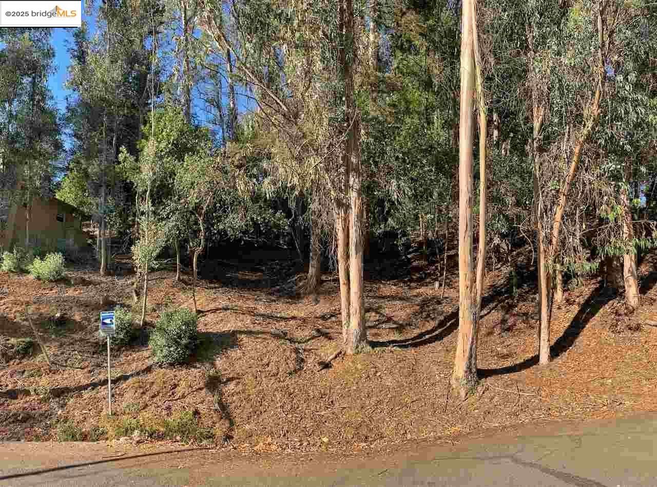 Detail Gallery Image 2 of 11 For 6698 Moore Dr, Oakland,  CA 94611 - – Beds | – Baths