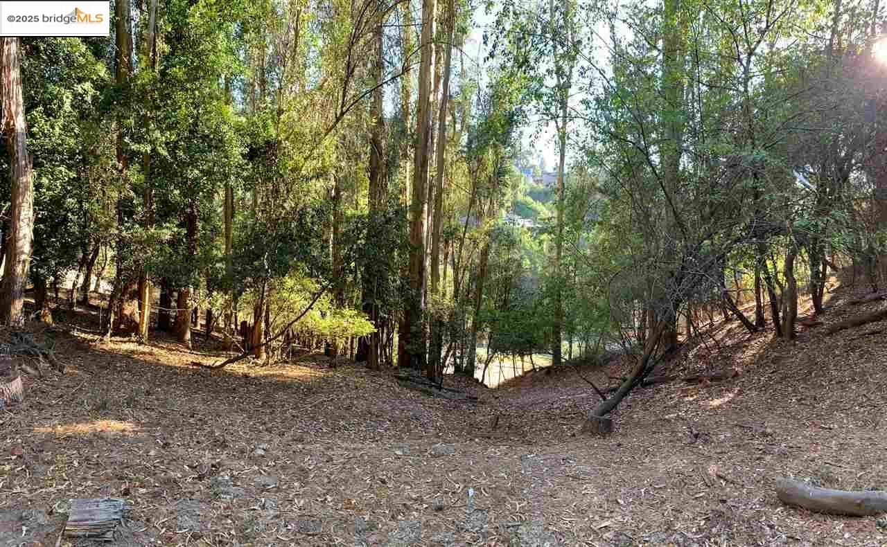 Detail Gallery Image 8 of 11 For 6698 Moore Dr, Oakland,  CA 94611 - – Beds | – Baths