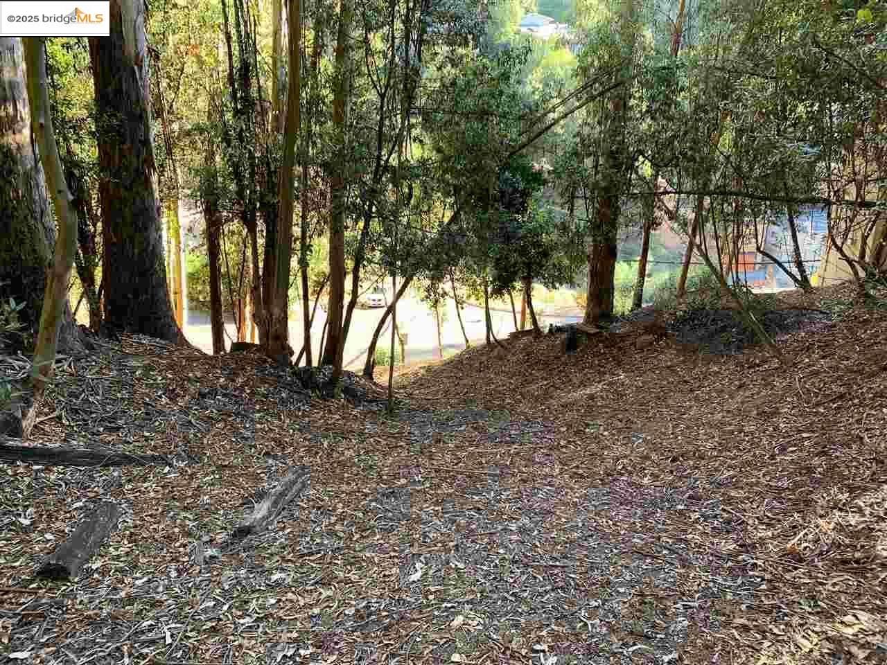 Detail Gallery Image 9 of 11 For 6698 Moore Dr, Oakland,  CA 94611 - – Beds | – Baths