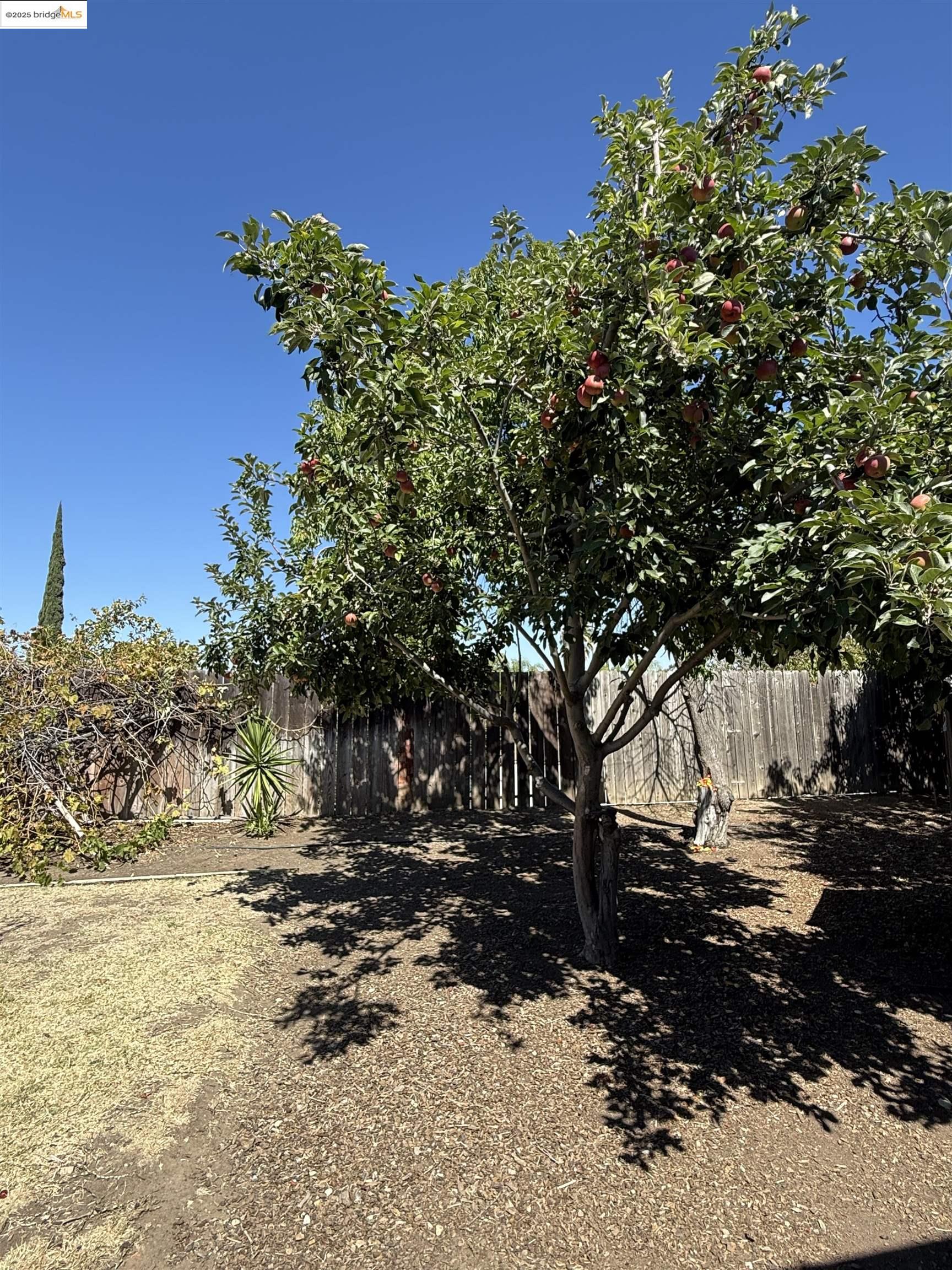 Detail Gallery Image 10 of 11 For 1593 Norine Drive, Pittsburg,  CA 94565 - 4 Beds | 2 Baths