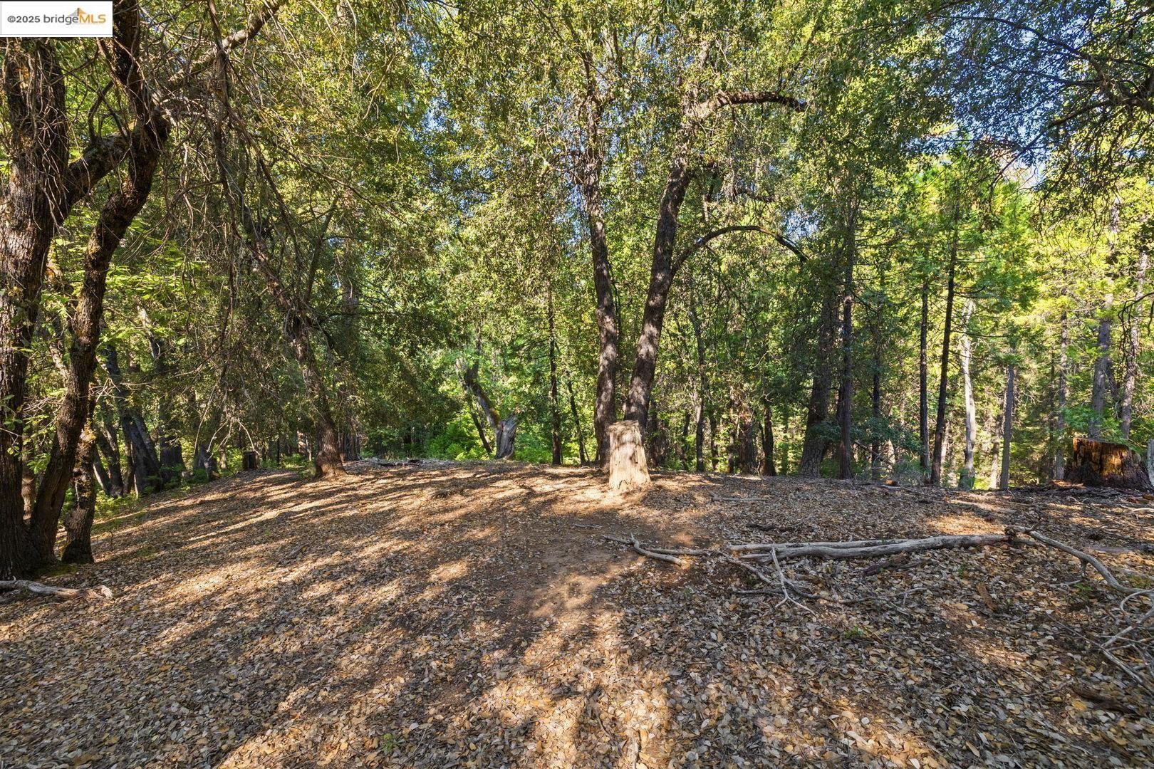 Detail Gallery Image 9 of 19 For 23744 Mount Elizabeth Rd, Twain Harte,  CA 95383 - – Beds | – Baths