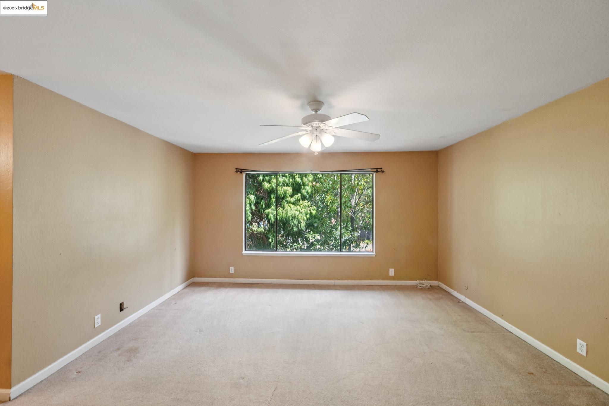 Photo #31: 41111187 Listing: Photo #31