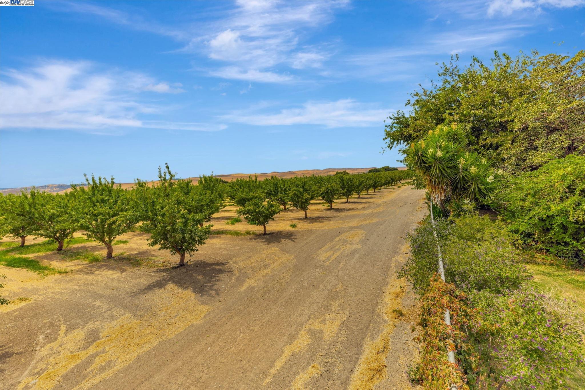 Detail Gallery Image 24 of 26 For 25999 Carbona Ct, Tracy,  CA 95377 - 4 Beds | 2 Baths