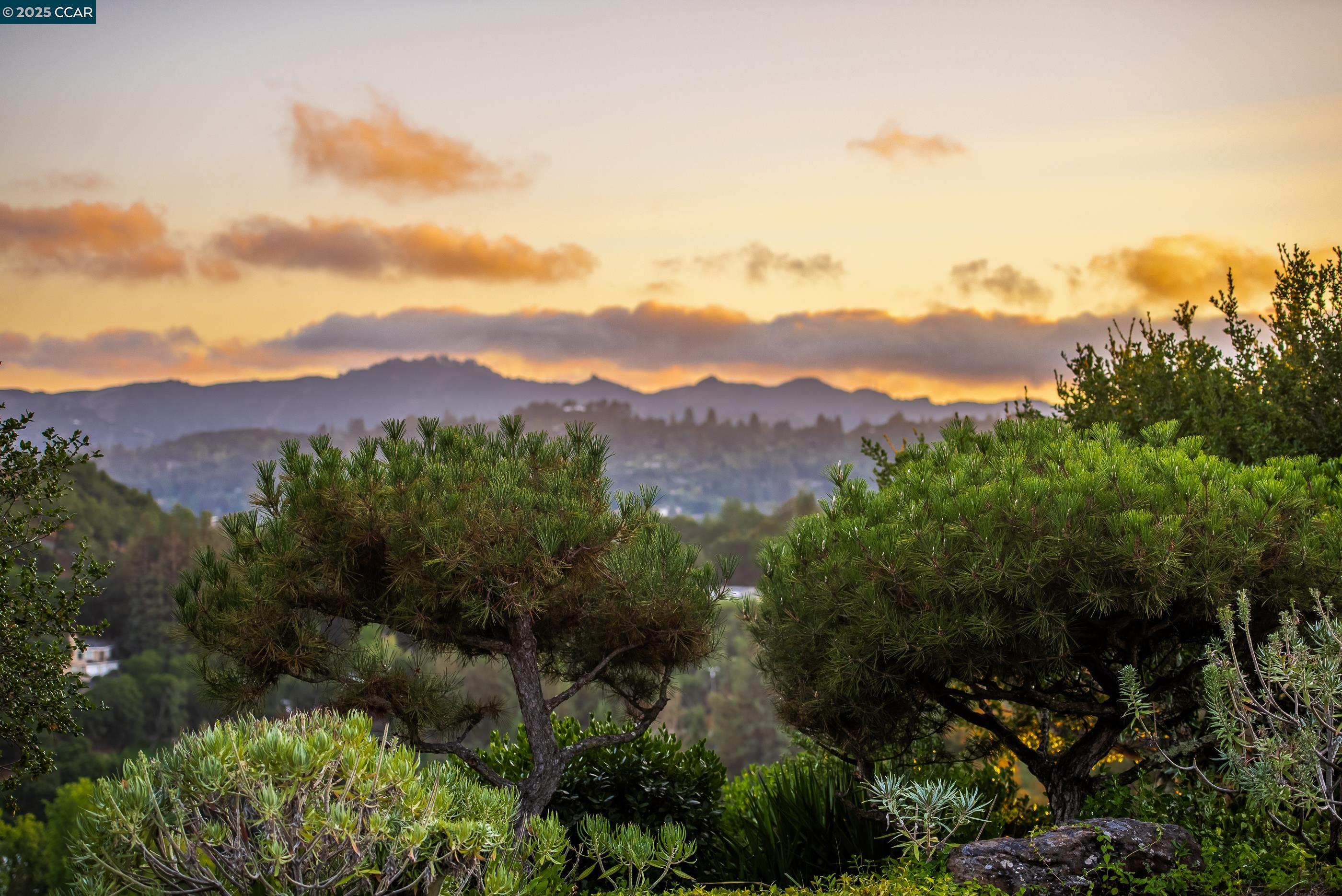 Detail Gallery Image 56 of 57 For 1275 Panorama Drive, Lafayette,  CA 94549 - 4 Beds | 3/1 Baths