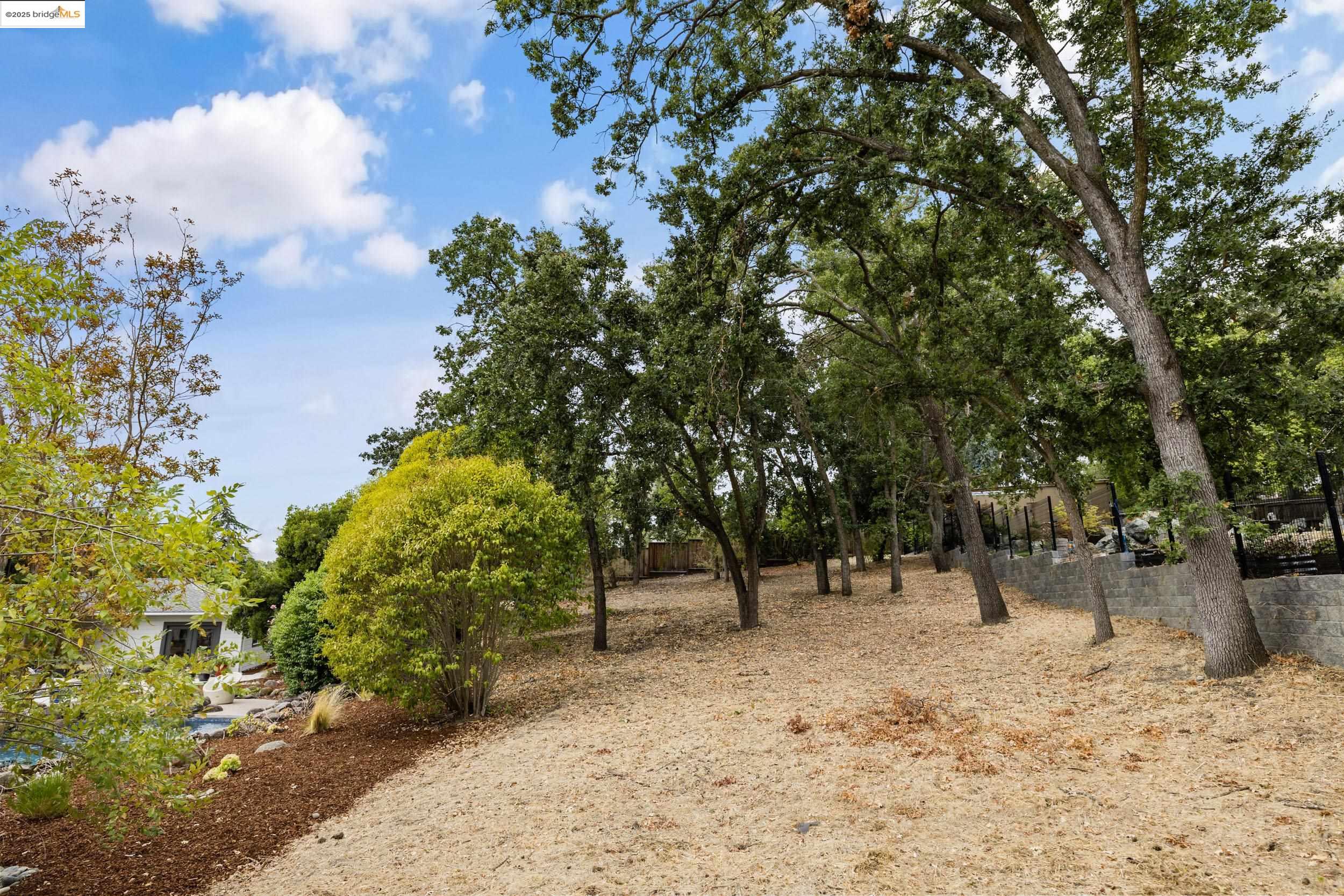 Detail Gallery Image 51 of 60 For 150 Santa Rita Dr, Walnut Creek,  CA 94596 - 3 Beds | 2 Baths