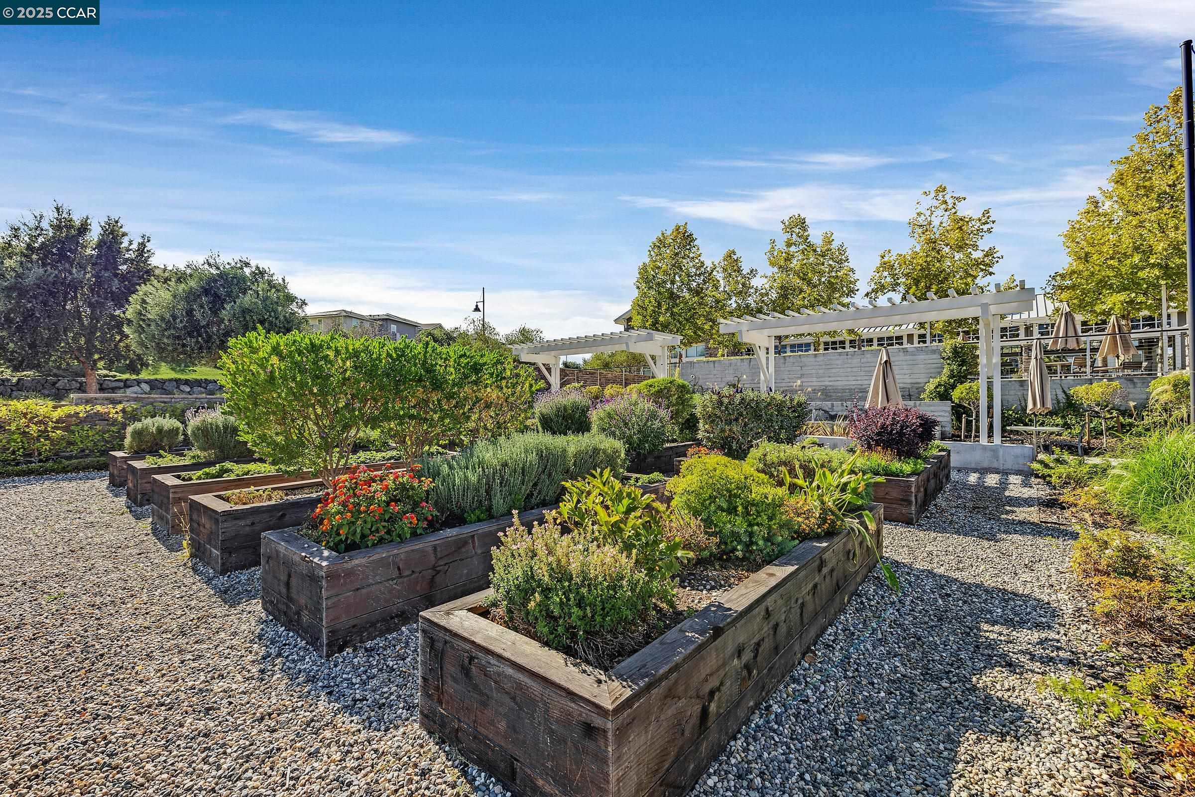 Photo #39: 41111364 Listing: Photo #39