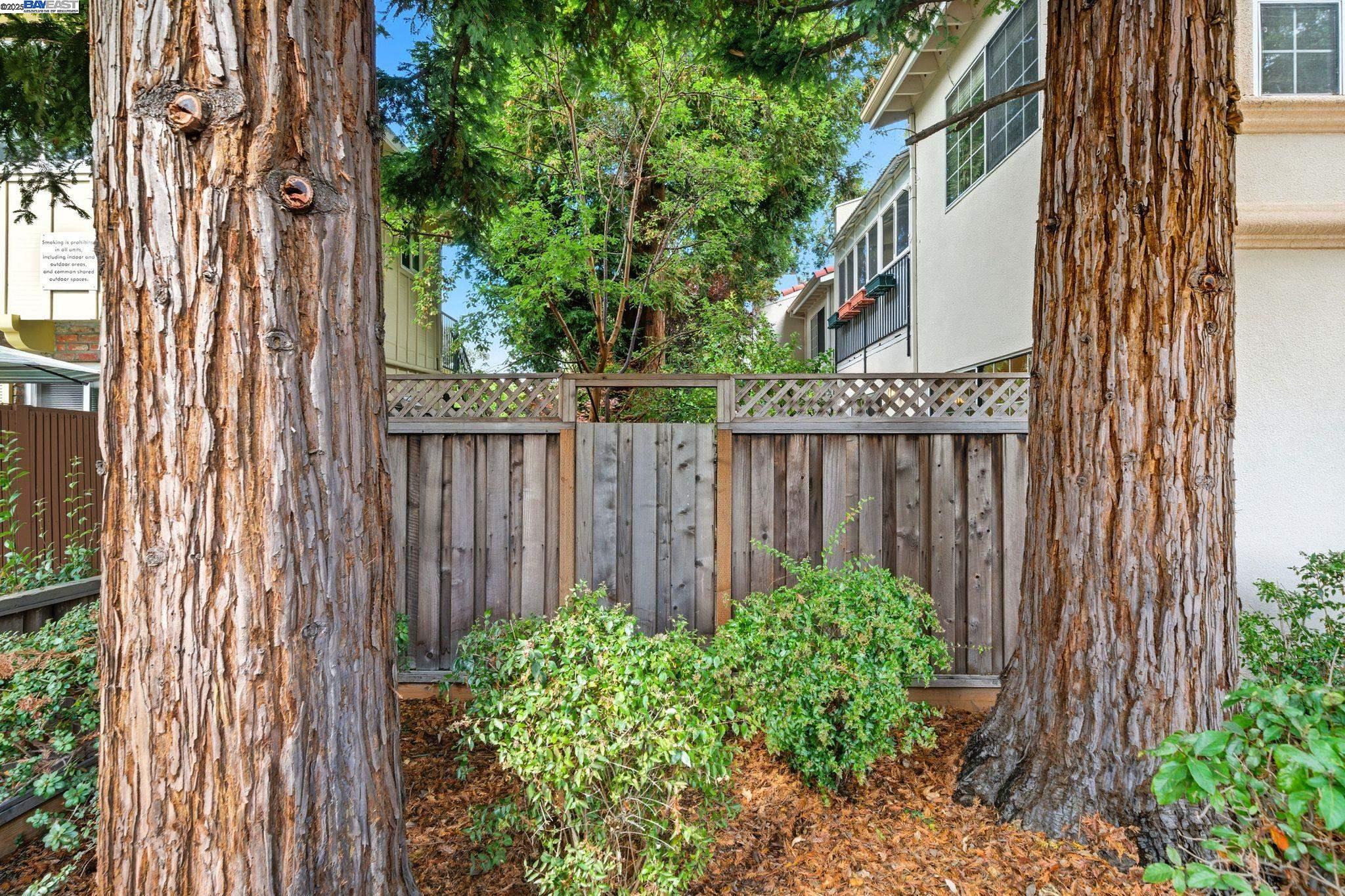 Detail Gallery Image 34 of 41 For 1555 Oxford Sreet, Redwood City,  CA 94061 - 3 Beds | 2/1 Baths