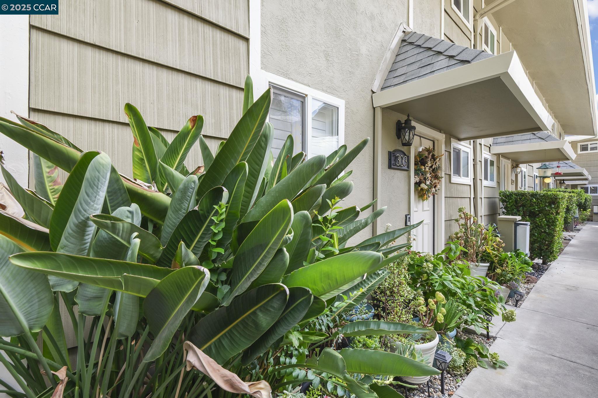 Photo #3: 41111381 Listing 