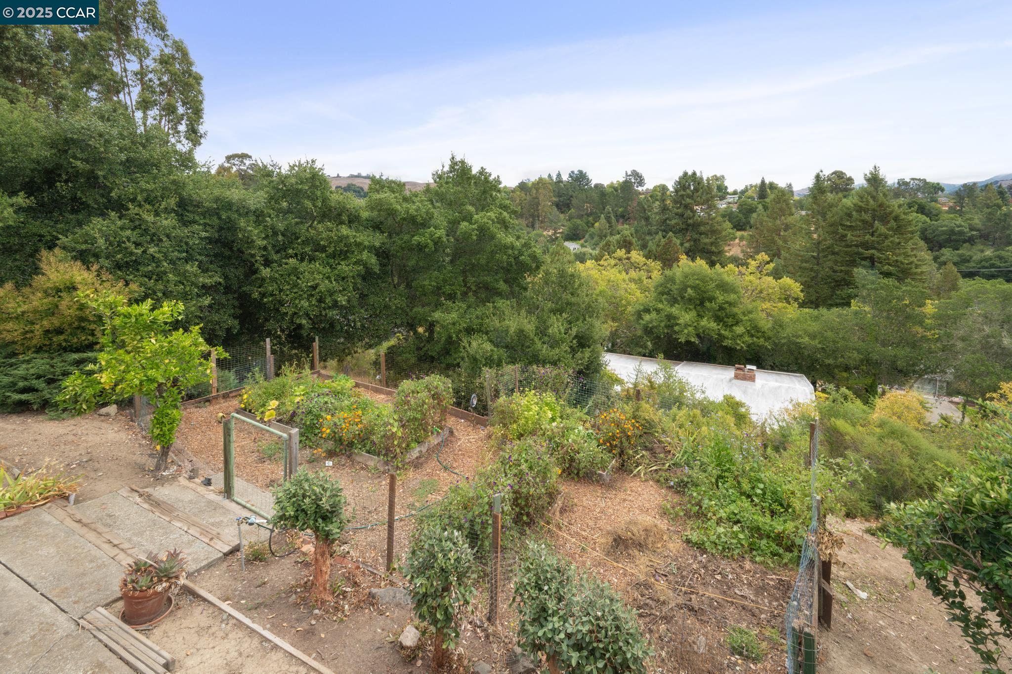Detail Gallery Image 41 of 50 For 12 La Cresta Rd, Orinda,  CA 94563 - 4 Beds | 3 Baths