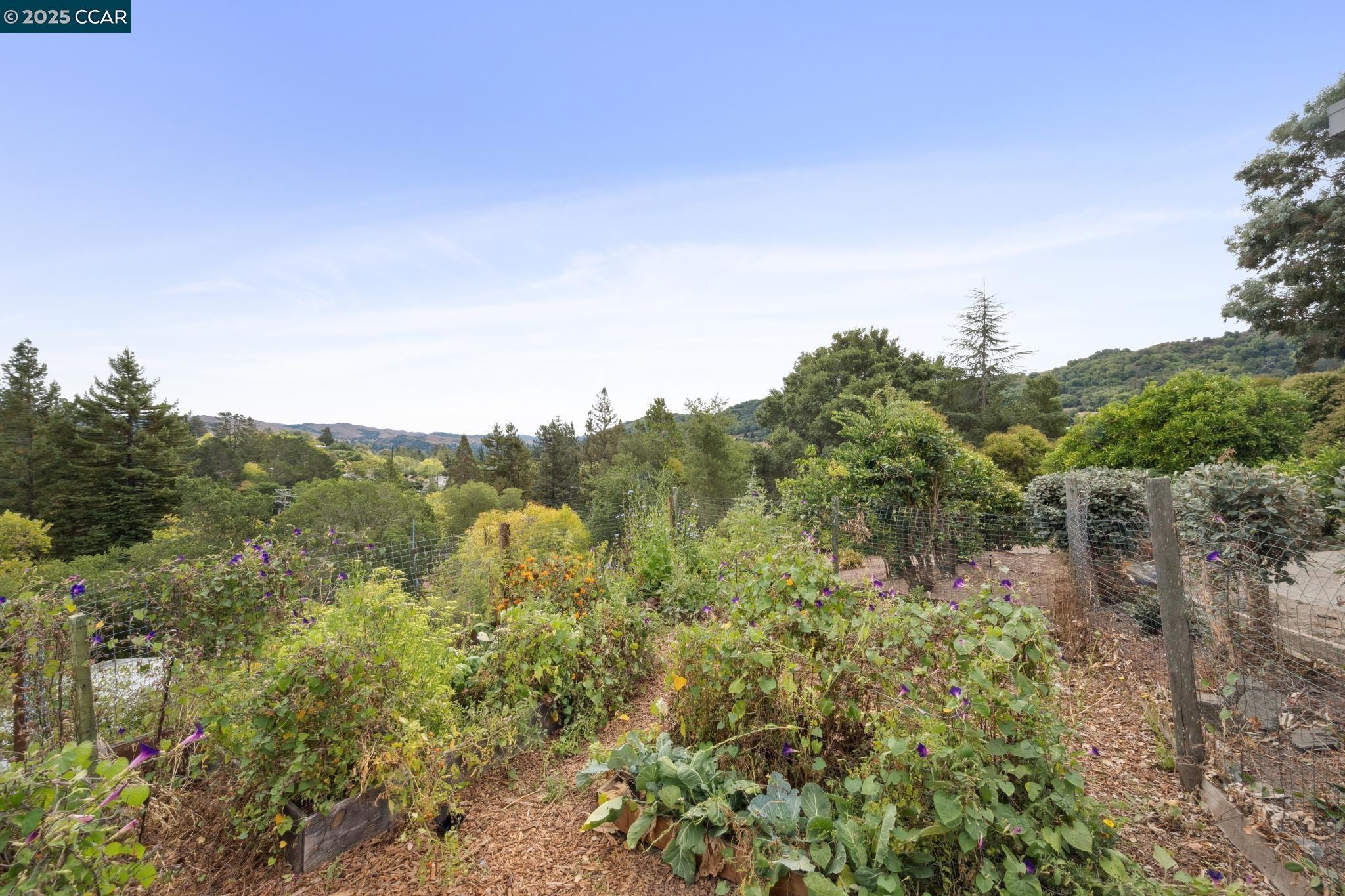 Detail Gallery Image 45 of 50 For 12 La Cresta Rd, Orinda,  CA 94563 - 4 Beds | 3 Baths