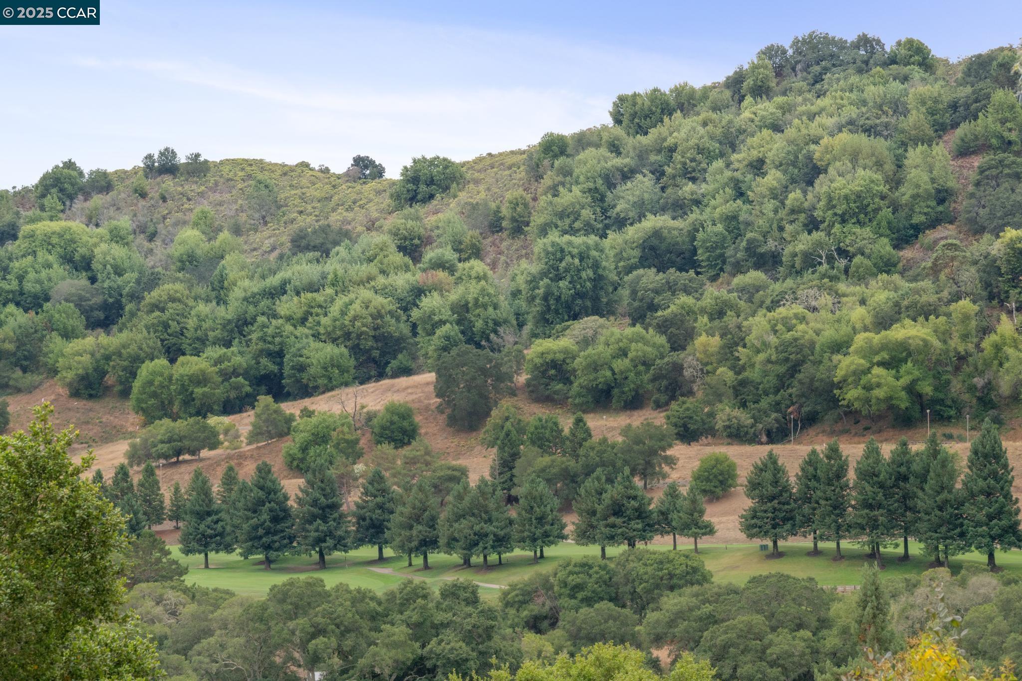 Detail Gallery Image 50 of 50 For 12 La Cresta Rd, Orinda,  CA 94563 - 4 Beds | 3 Baths