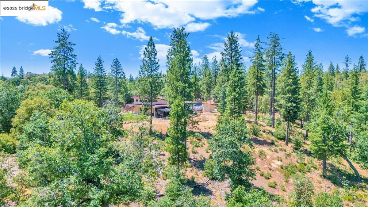 Detail Gallery Image 41 of 44 For 9935 Jackass Creek Rd, Groveland,  CA 95321 - 1 Beds | 2 Baths