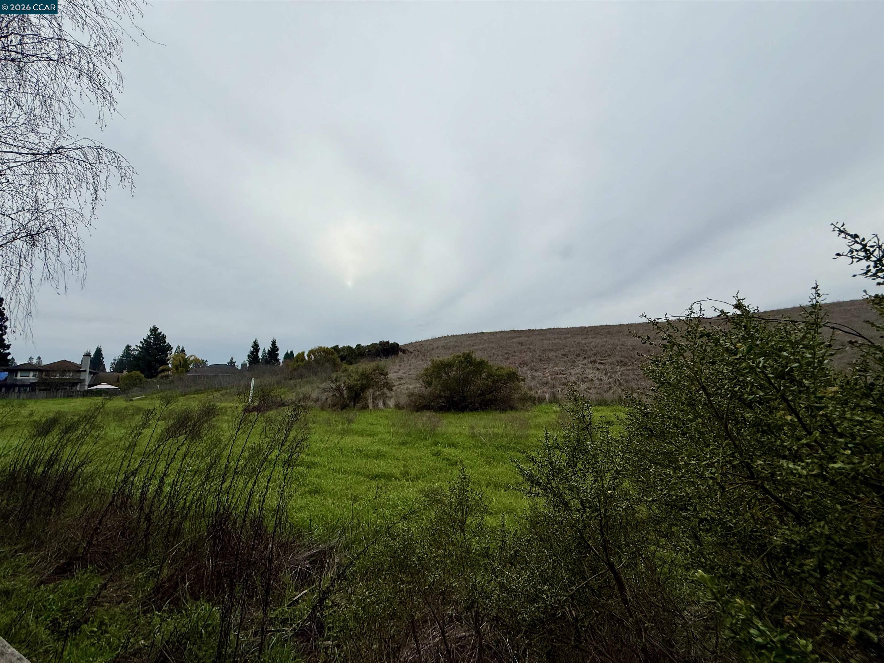 Detail Gallery Image 7 of 7 For 321 W. Meadows Lane, Danville,  CA 94506 - 3 Beds | 25/1 Baths