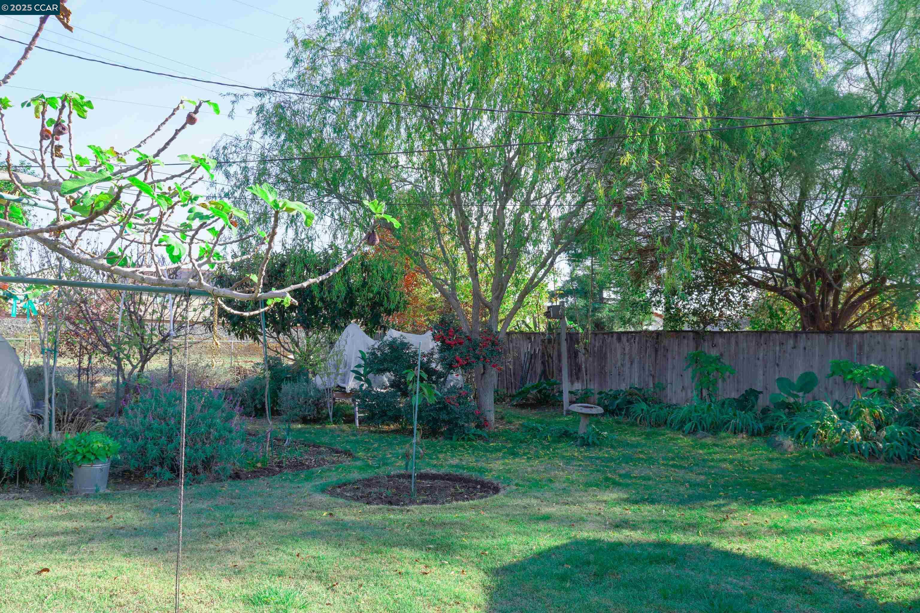 Detail Gallery Image 34 of 37 For 3704 San Rafael, Stockton,  CA 95204 - 2 Beds | 1 Baths
