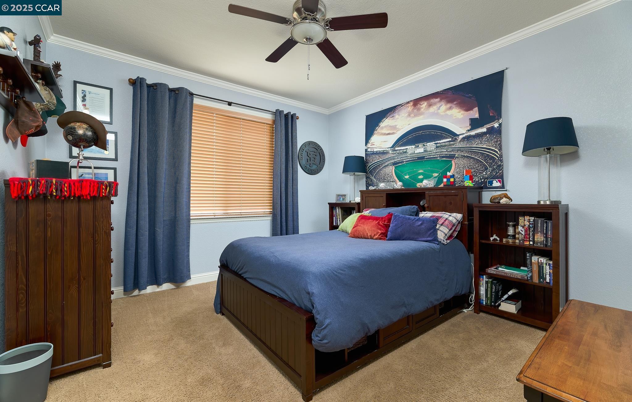 Detail Gallery Image 38 of 52 For 119 Clifton Ct, Ripon,  CA 95366 - 5 Beds | 3 Baths