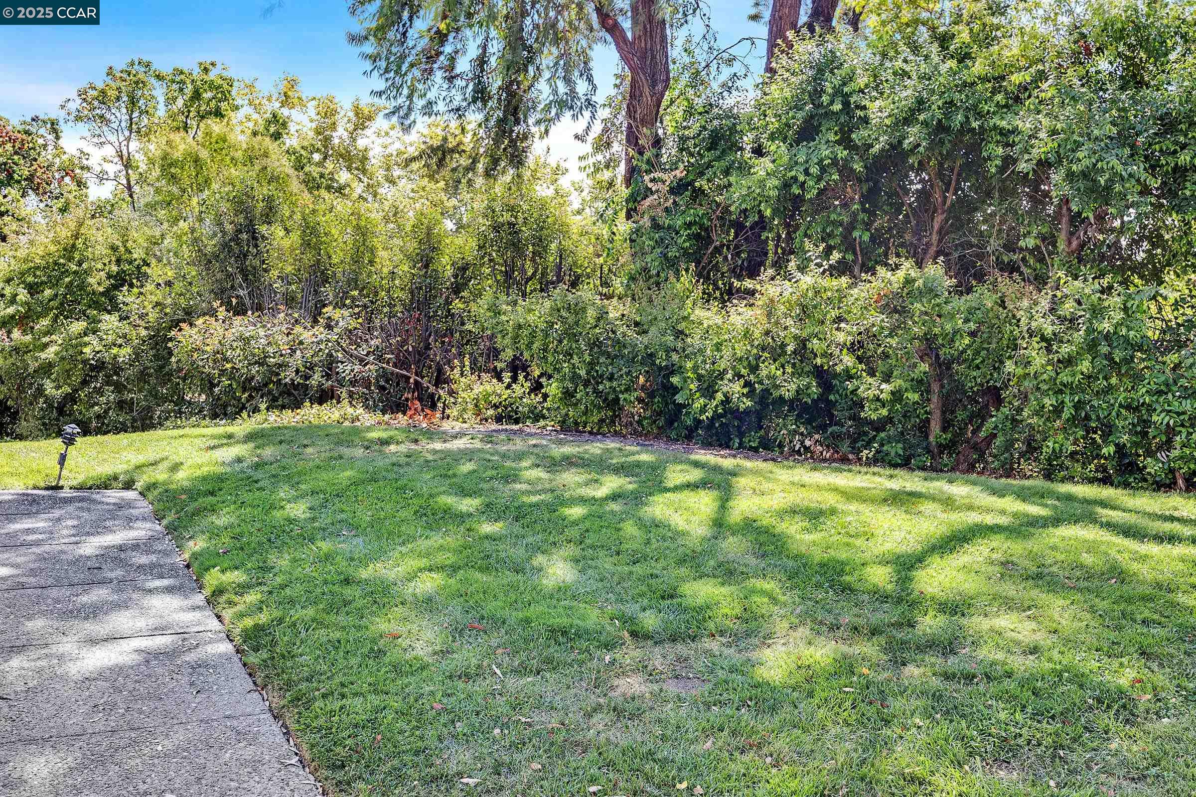 Photo #6: 41111604 Listing 