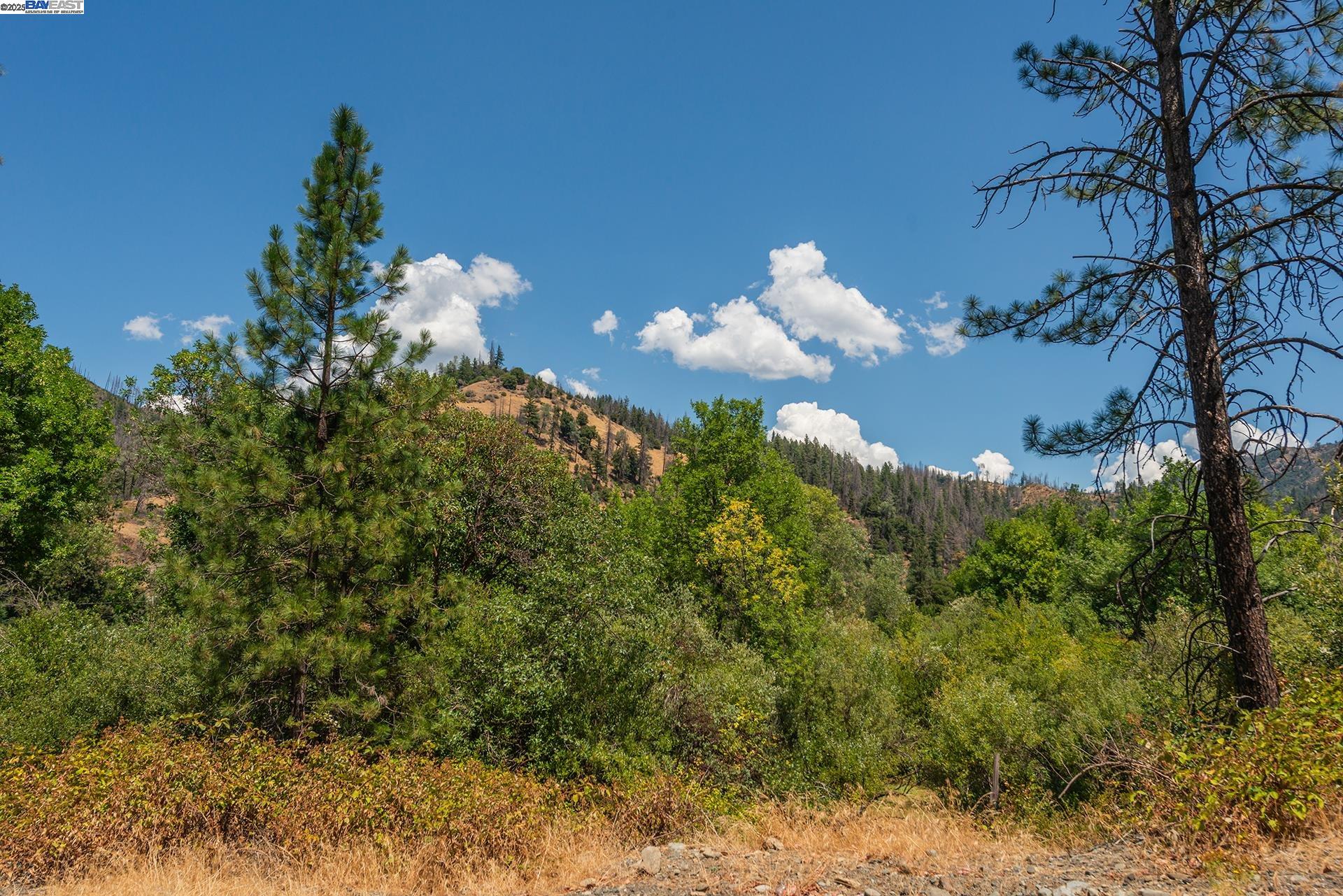 Detail Gallery Image 4 of 57 For 77 Lilac Ln, Big Bar,  CA 96010 - 2 Beds | 2/1 Baths