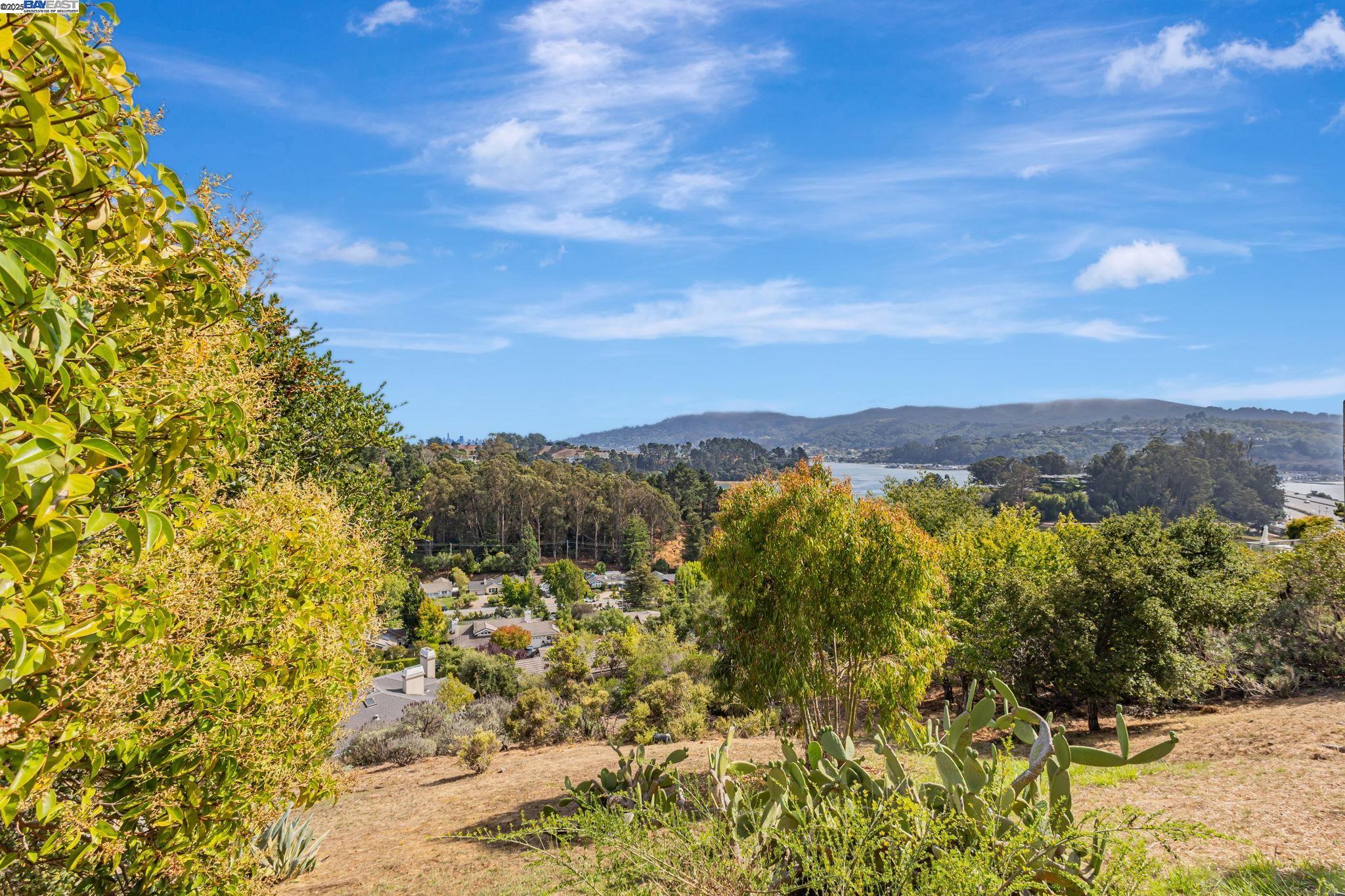 Detail Gallery Image 29 of 32 For 62 Milland Dr, Mill Valley,  CA 94941 - 3 Beds | 2/1 Baths