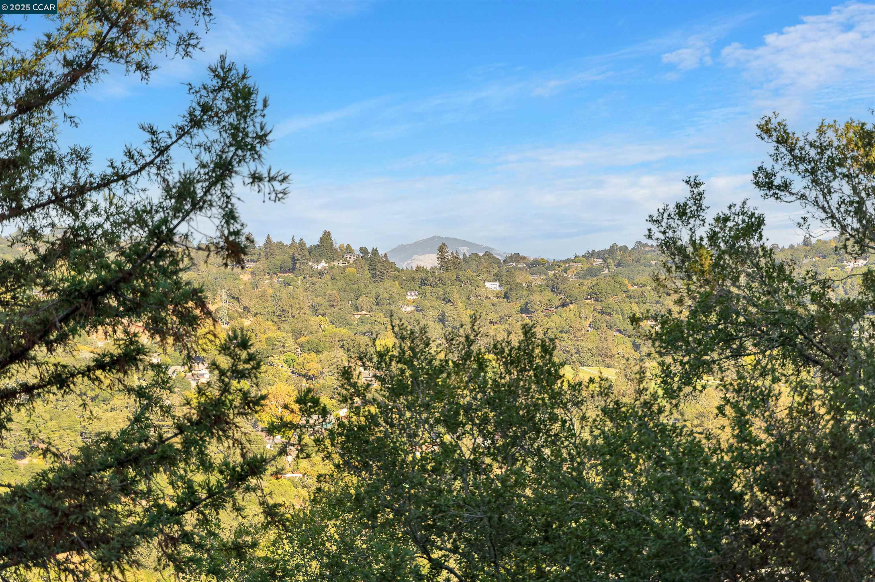 Detail Gallery Image 11 of 60 For 33 Marston Rd, Orinda,  CA 94563 - 4 Beds | 4/1 Baths