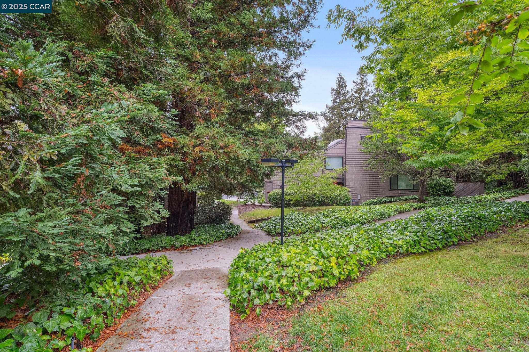 Photo #51: 41111635 Listing: Photo #51