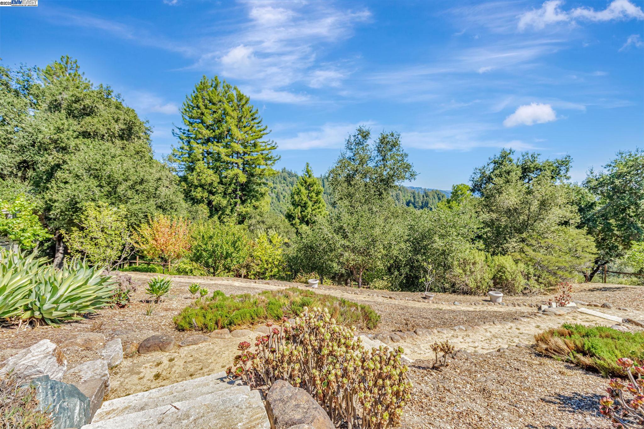 Detail Gallery Image 44 of 60 For 24400 Mountain Charlie Rd, Los Gatos,  CA 95033 - 6 Beds | 4 Baths
