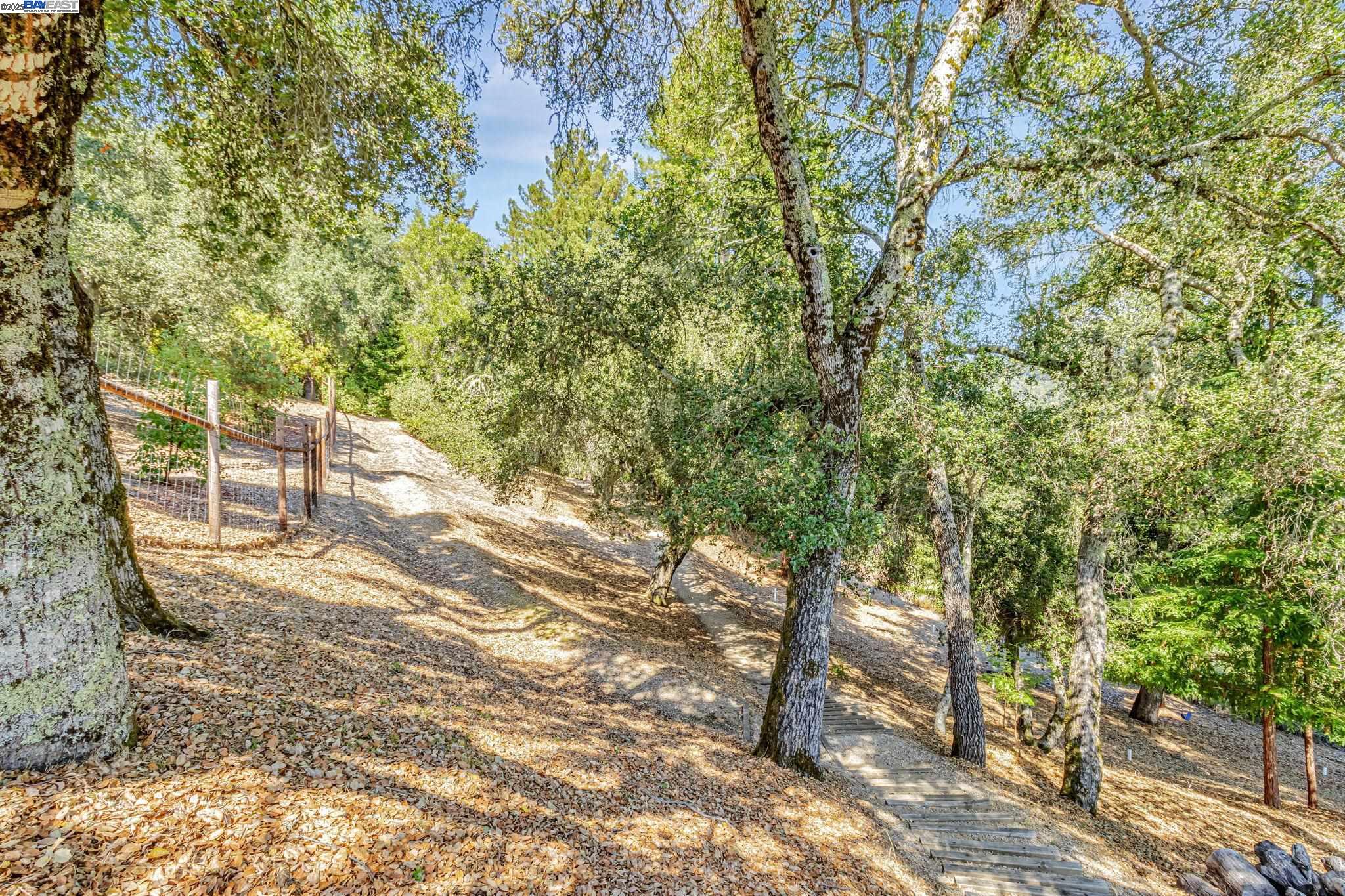 Detail Gallery Image 49 of 60 For 24400 Mountain Charlie Rd, Los Gatos,  CA 95033 - 6 Beds | 4 Baths