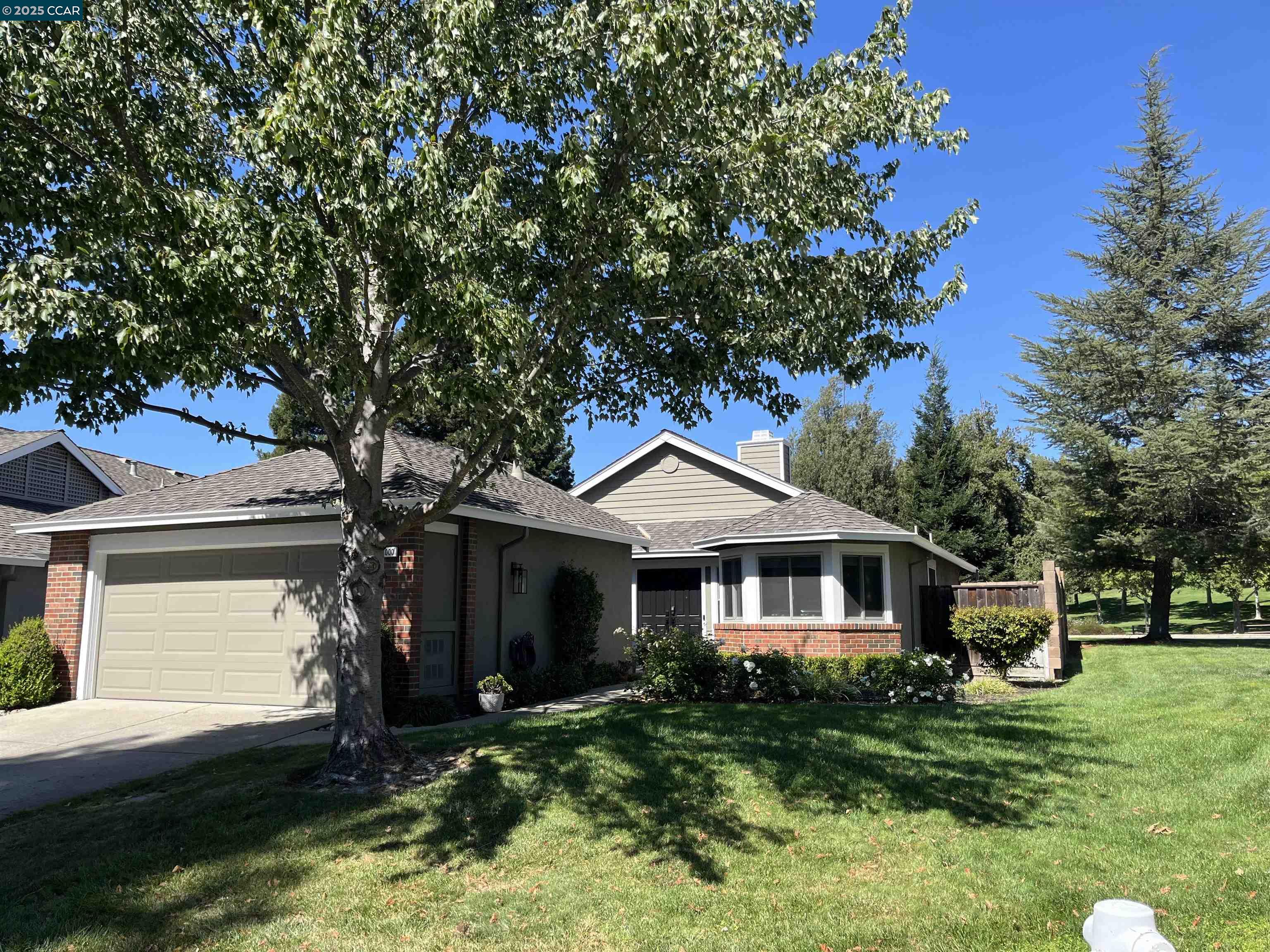 Front Image Thumbnail for CC41111653