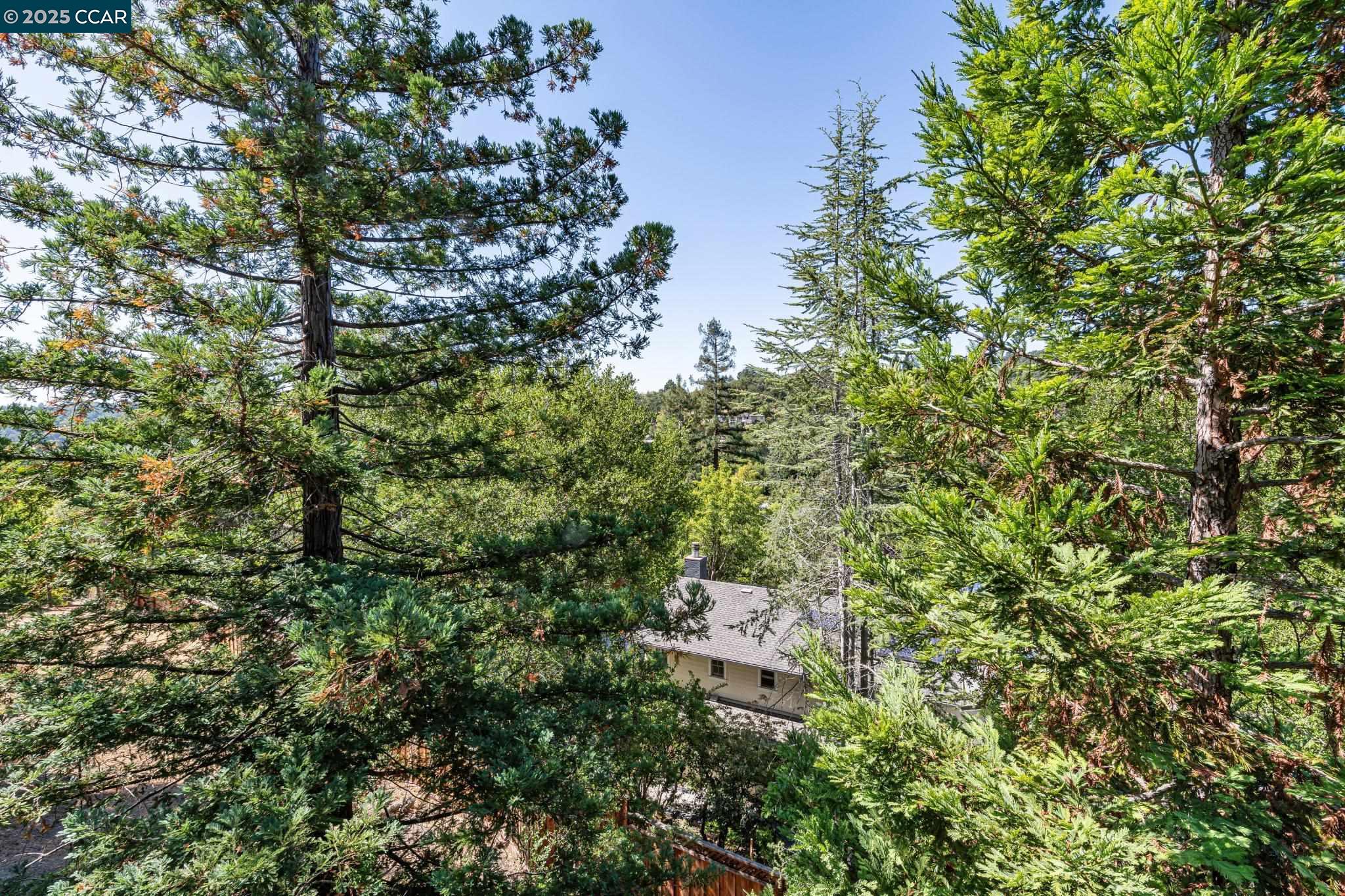 Detail Gallery Image 55 of 60 For 1149 Camino Vallecito, Lafayette,  CA 94549 - 5 Beds | 4 Baths