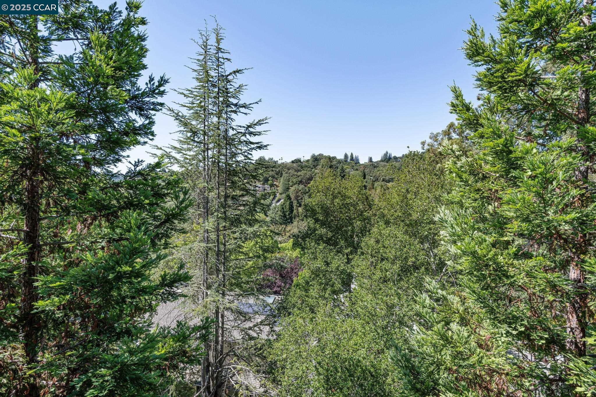 Detail Gallery Image 57 of 60 For 1149 Camino Vallecito, Lafayette,  CA 94549 - 5 Beds | 4 Baths
