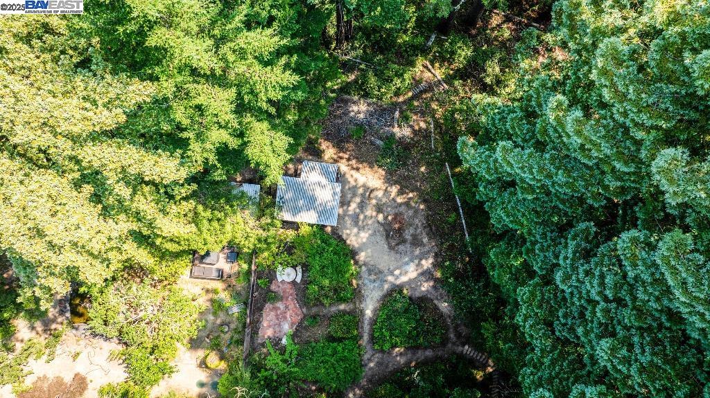 Detail Gallery Image 6 of 57 For 21401 Santa Clara Ave, Monte Rio,  CA 95462 - 2 Beds | 2 Baths